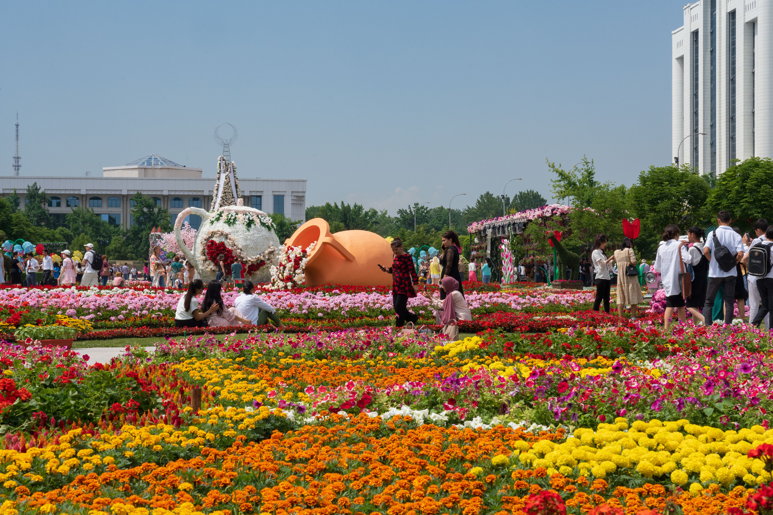 Tashkent Flower Fest. Георгий Намазов | Фотограф в Ташкенте