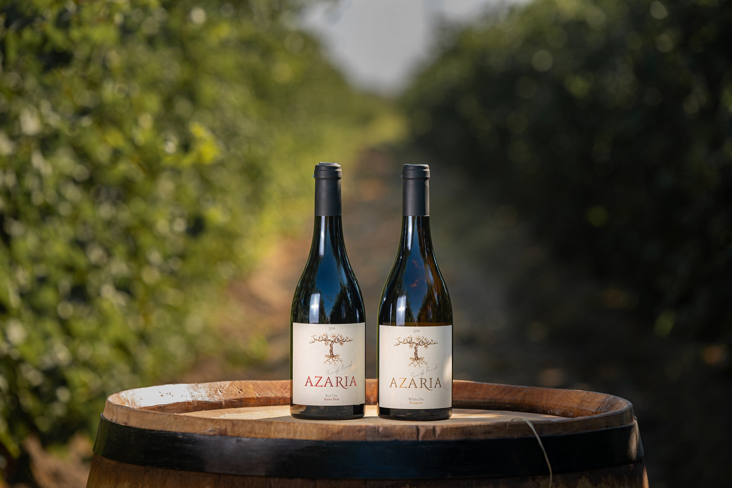 Azaria Winery. Фотограф в Ереване