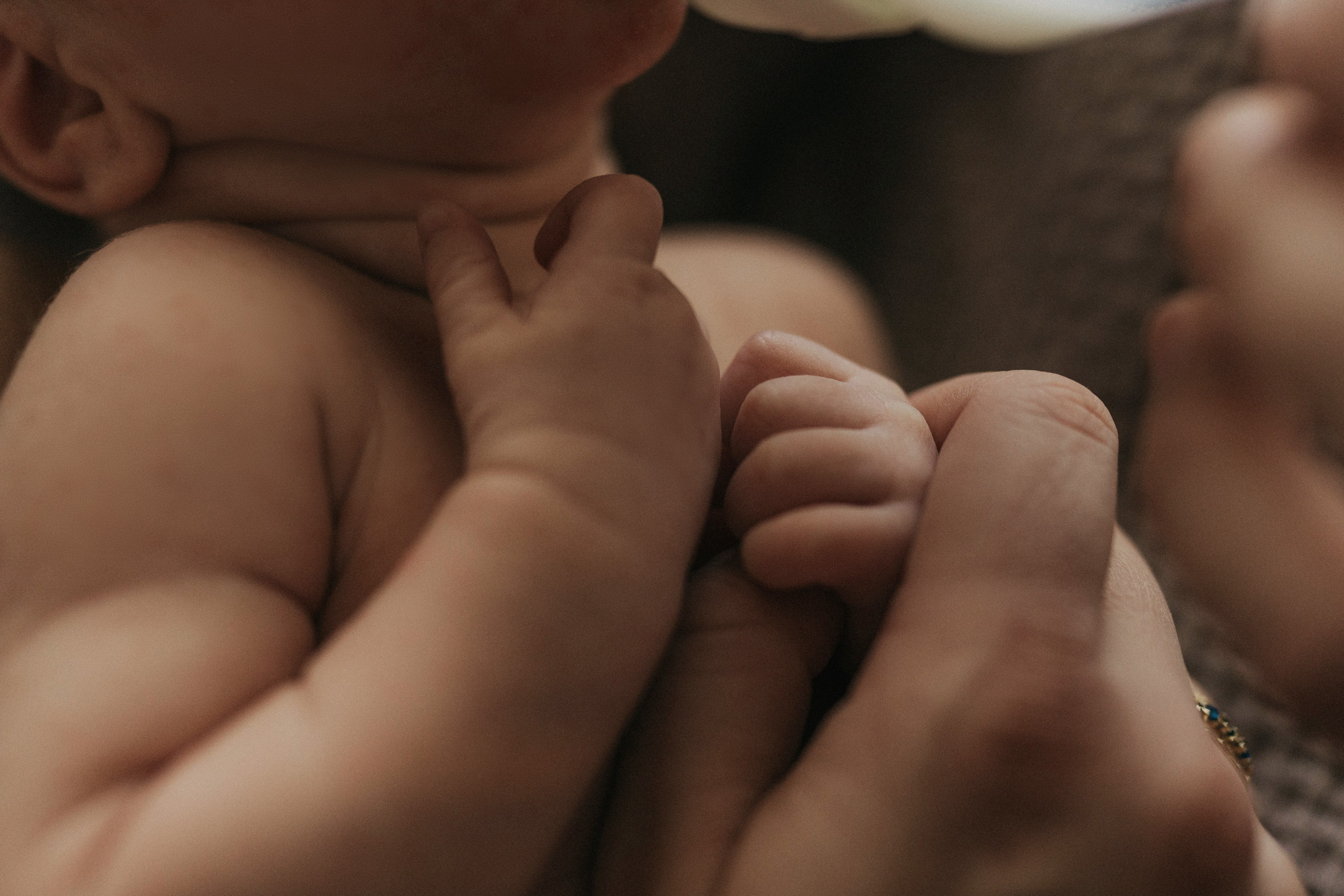 Dana, Paul, Matteo. Wedding and family photographer and videographer PA, NJ, NY, DE, MD