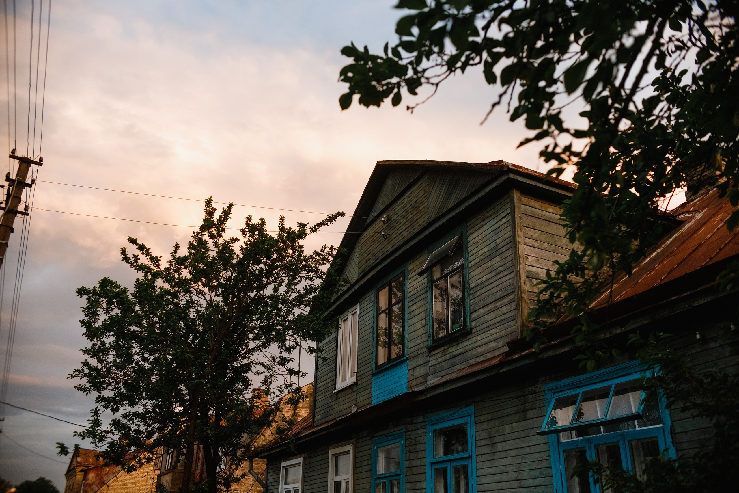 Grodno. Kaja | fotograf we Wrocławiu | ludzie i psy