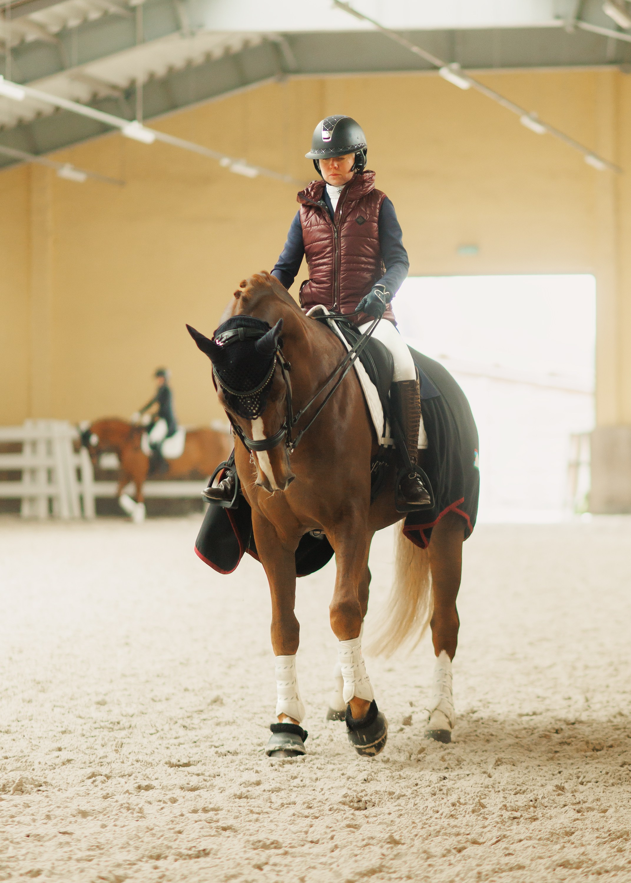 Fotografia koni Wrocław \ ujeżdżenie, Partynice. Kaja | fotograf we Wrocławiu | ludzie i psy