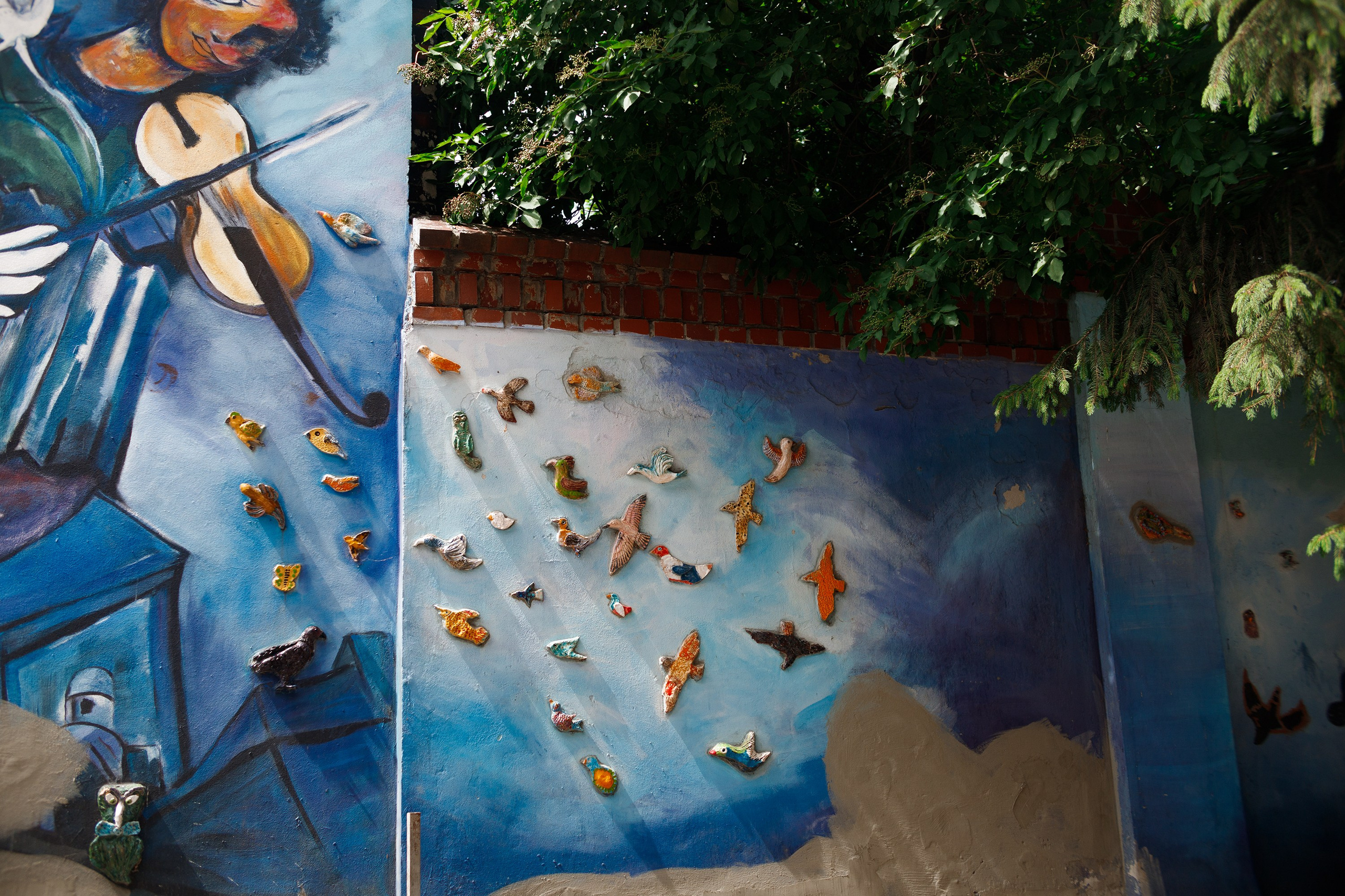 Wroclaw | the best ones. Kaja | fotograf psów we Wrocławiu