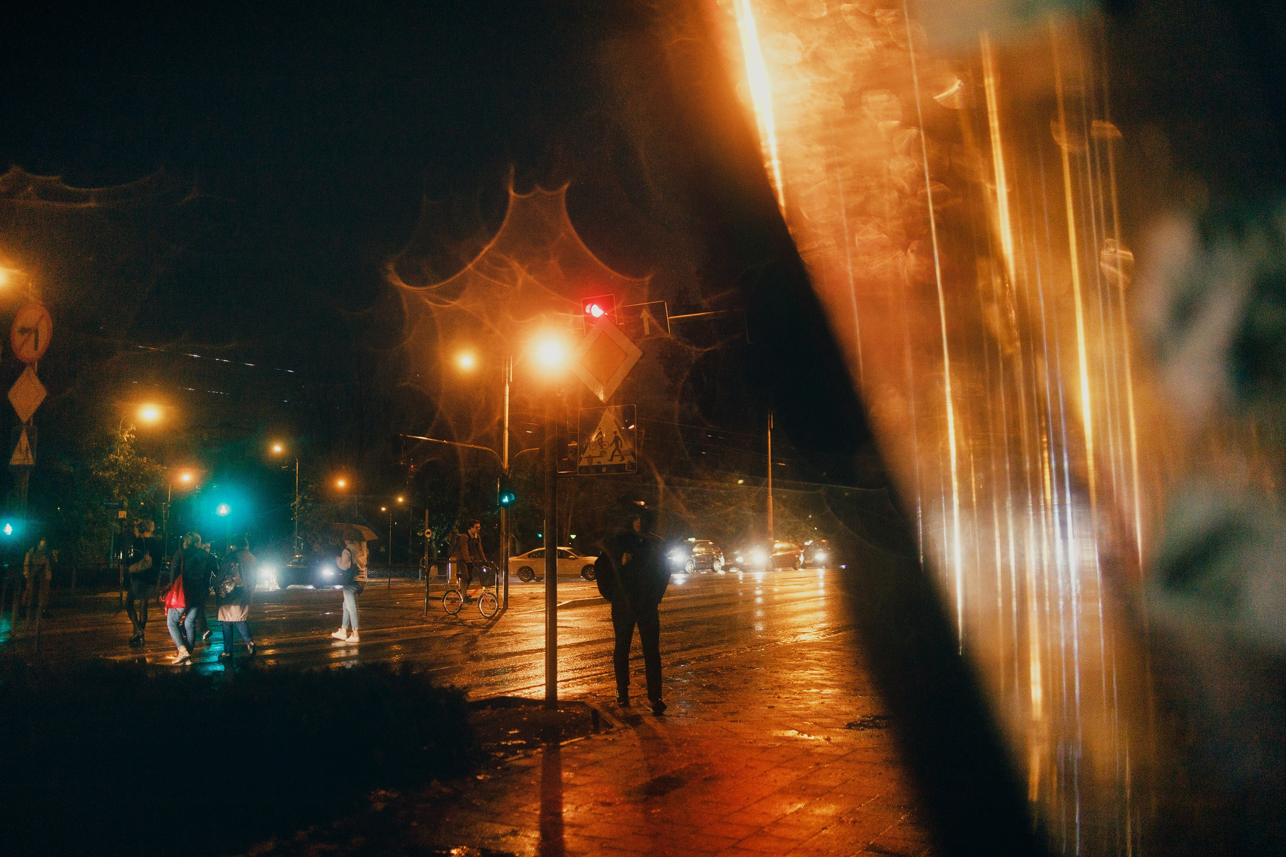 Night rainy Wroclaw. Kaja | fotograf psów we Wrocławiu