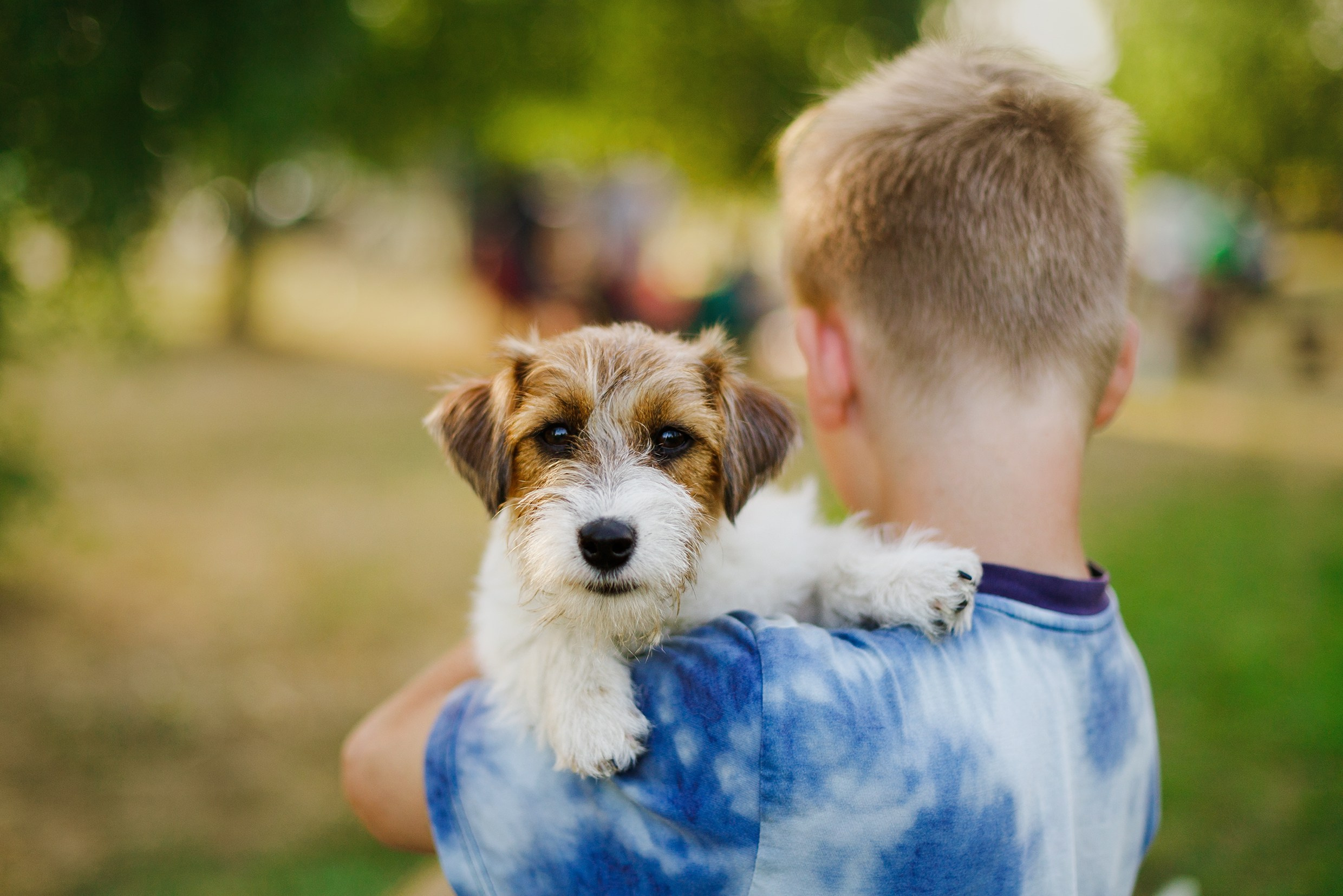 Dog shows | the best ones. Kaja | fotograf psów we Wrocławiu