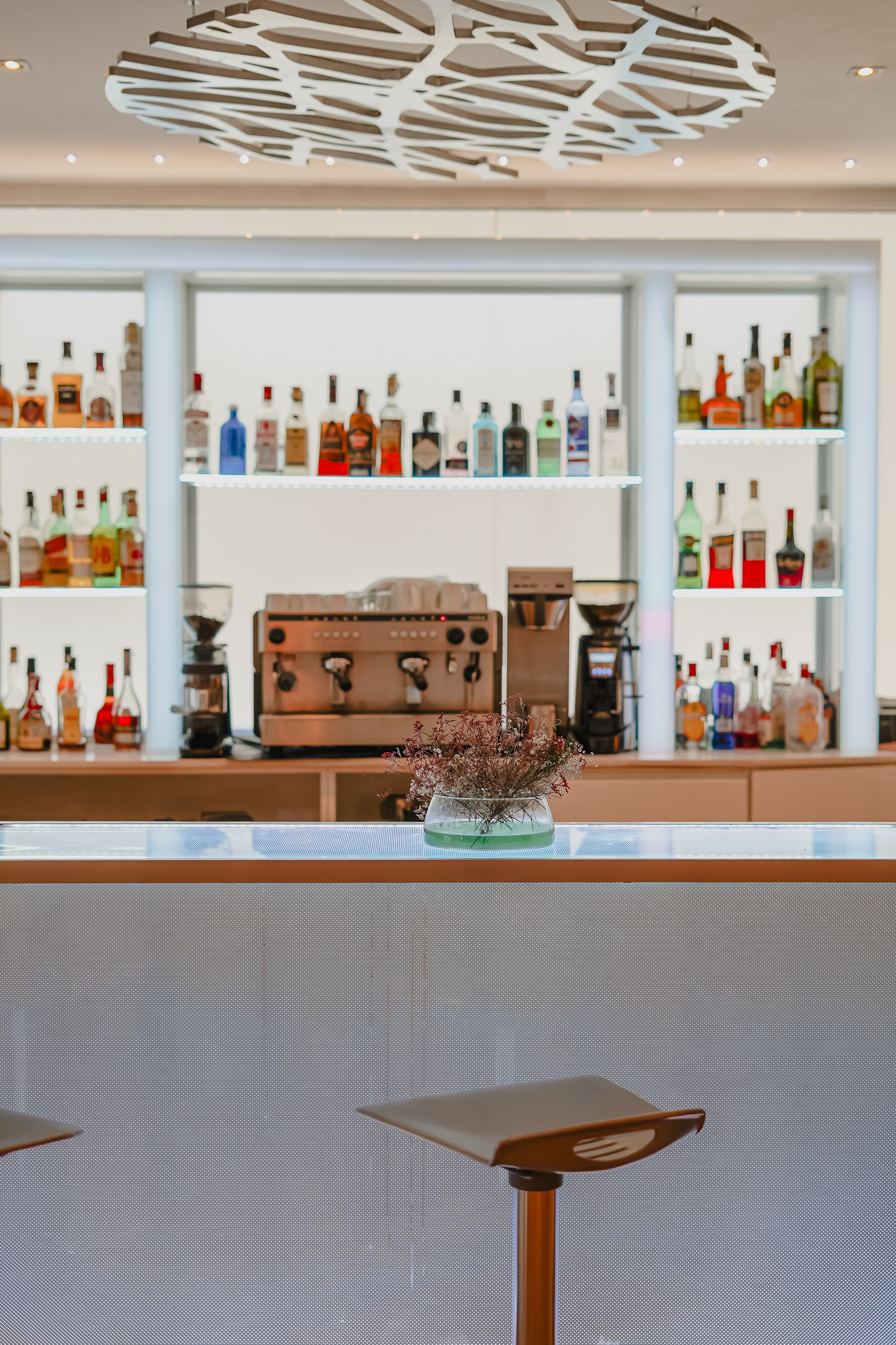 Restaurants & hotels. Portrait photographer, brands and content in Valencia, Spain, Europe