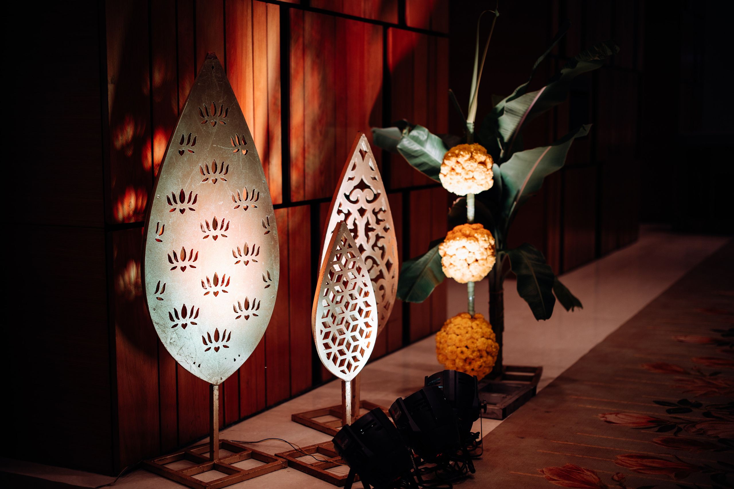 Tanvi & Neil | Engagement