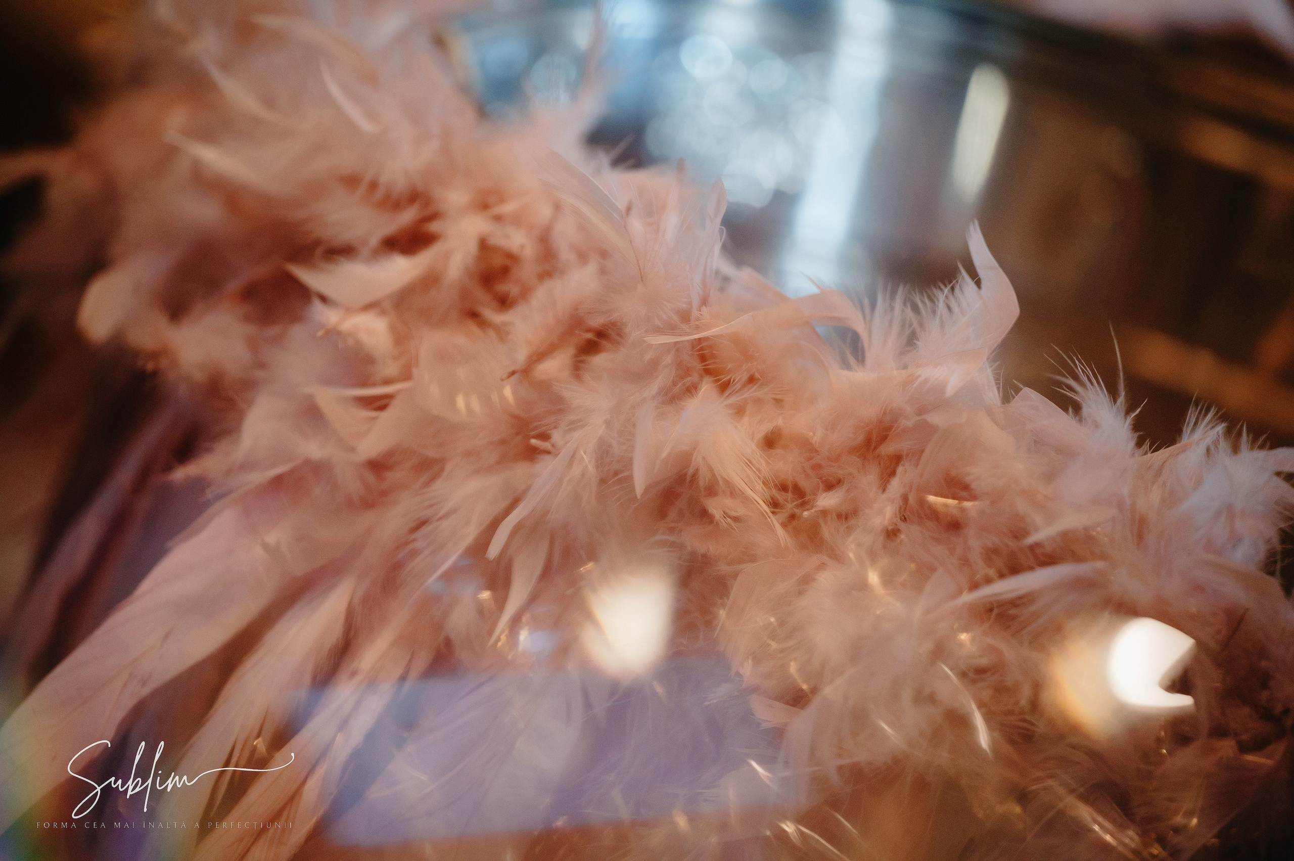 Sublim. Laurentiu Stefan StoryTeller