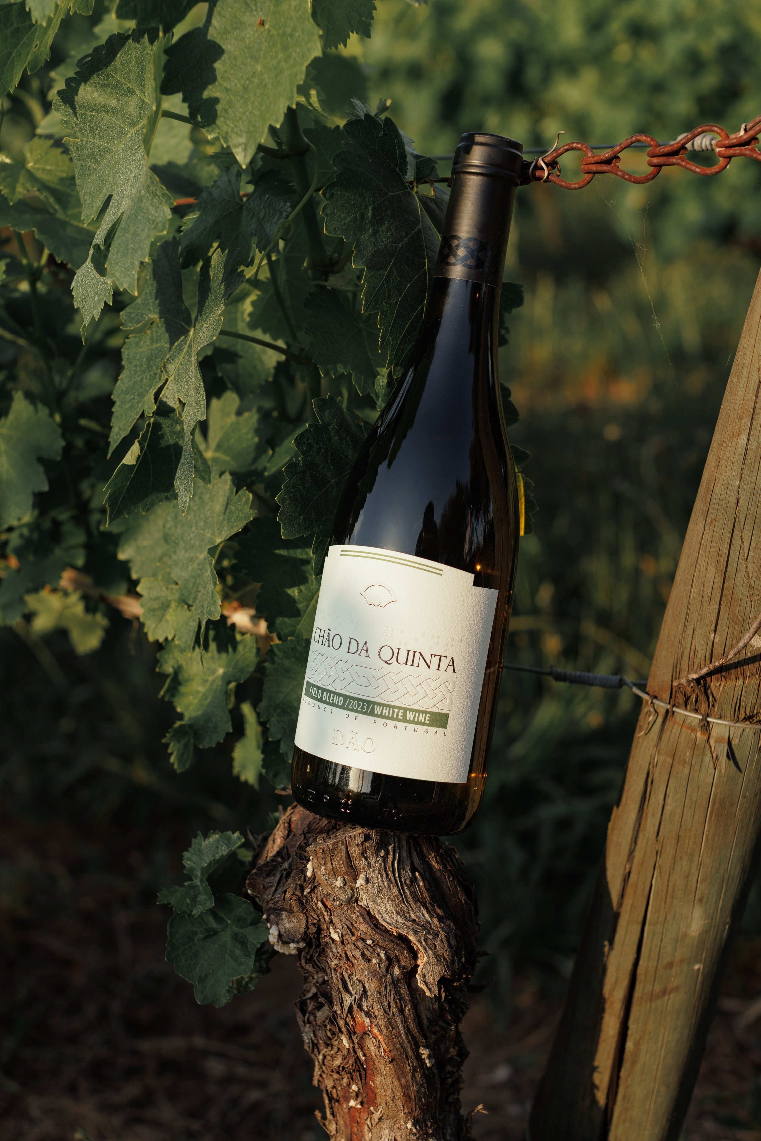 QUINTA CHÃO DE SÃO FRANCISCO. ESTUDIO DOZE