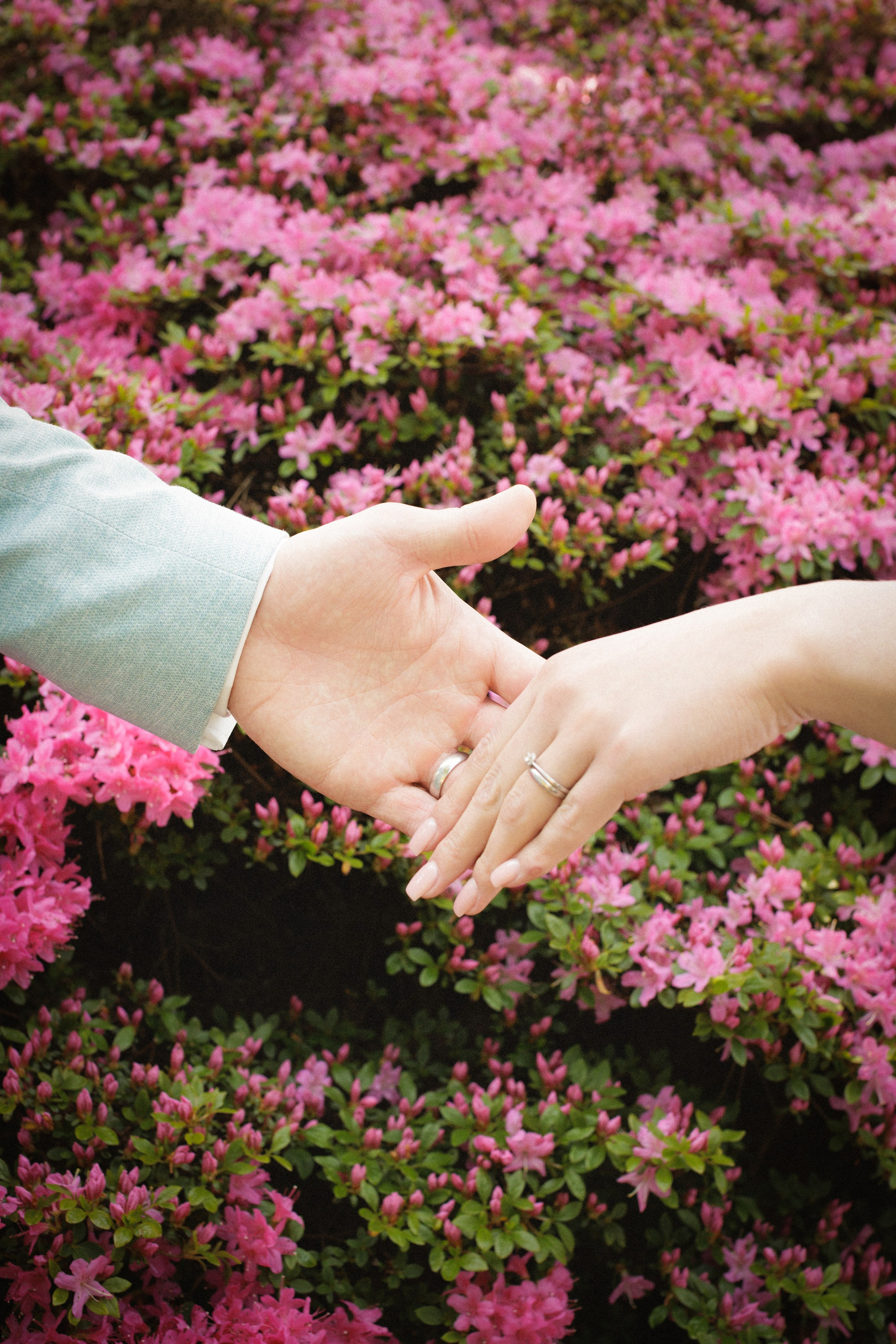 Natürliche Hochzeitsfotografie im Planten un Blomen | Hamburgs grüne Oase. Hochzeitsfotograf und Hochzeitsvideograf aus Hamburg | Roka21Film