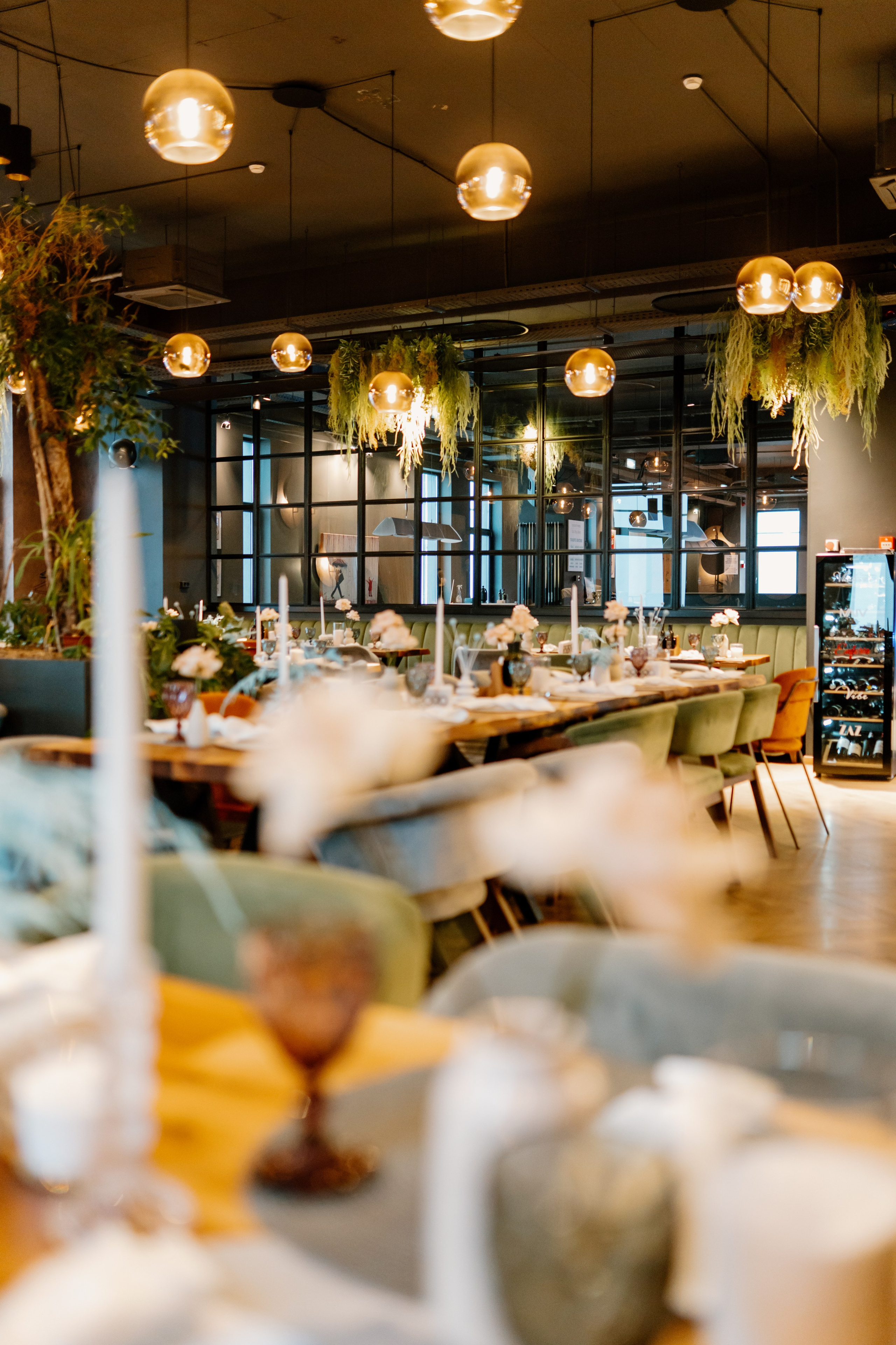 Amza — 1 year. Gabrielacojocariu.com