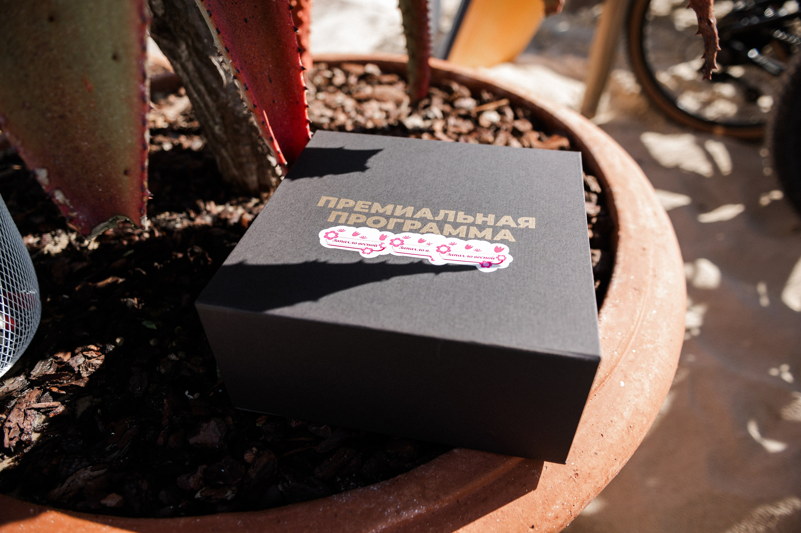 Evento na praia. Sua fotógrafa em Lisboa — Anna Belova