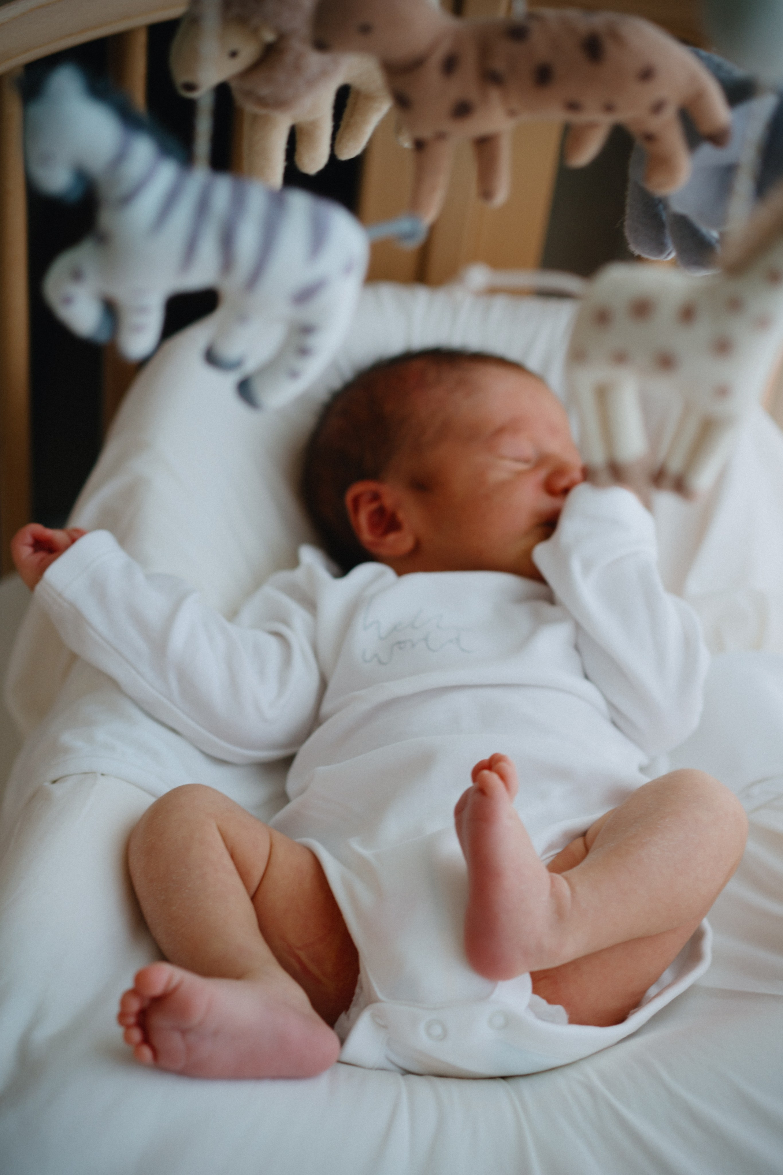 New Life. Elena Pretzner Photography