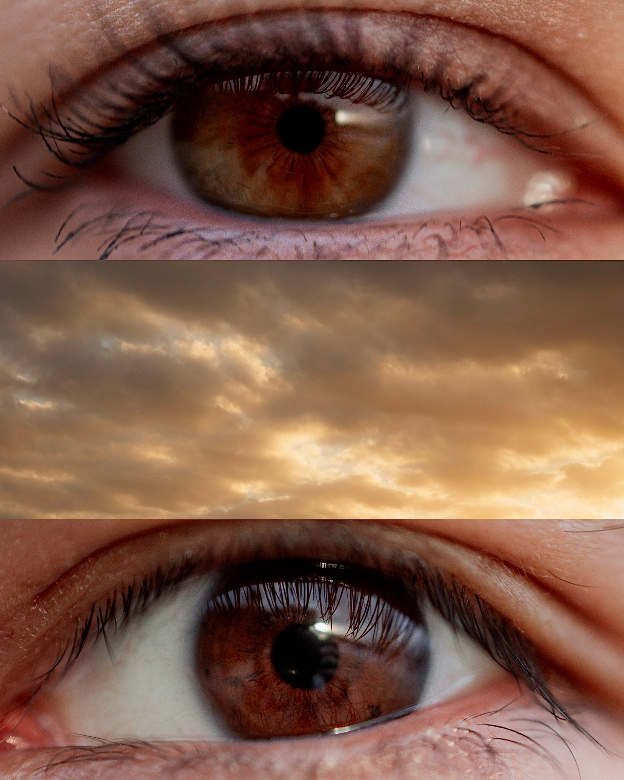 Portfolio. Portraits and couples Photographer Kseniia Elfimova, based in Orange County, CA