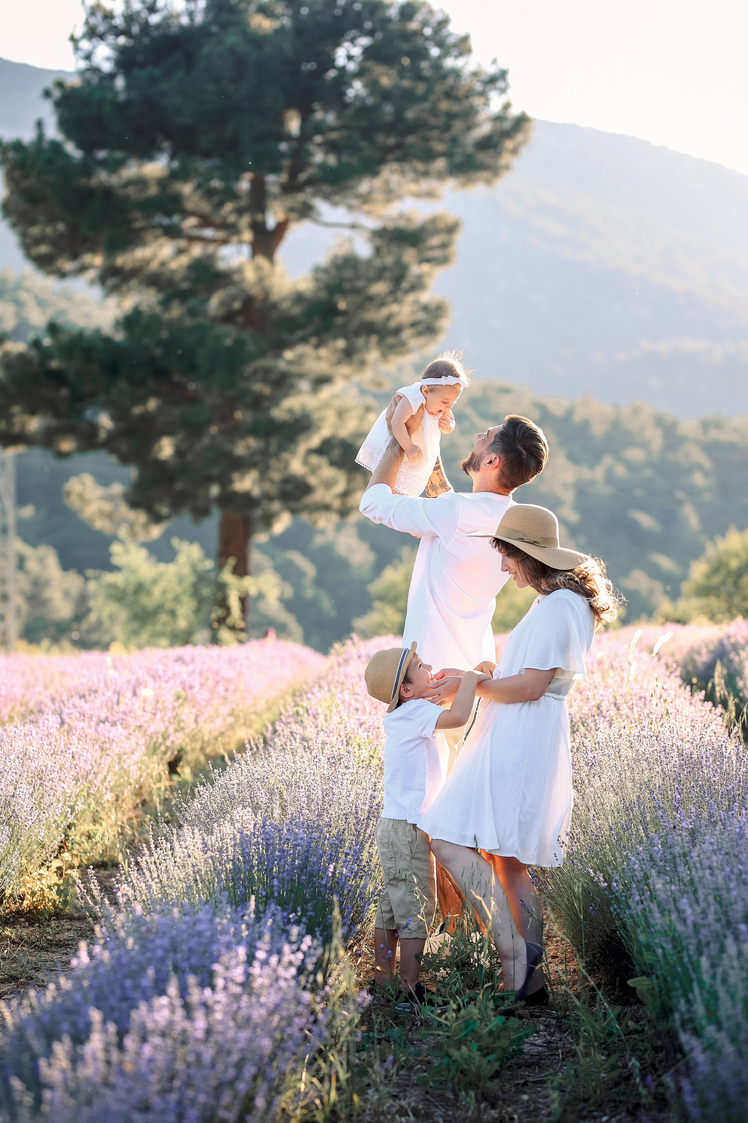 Lavender in Antalya. Photographer in Turkey, Antalya, Kemer, Belek, Side, Kas, Fethiye