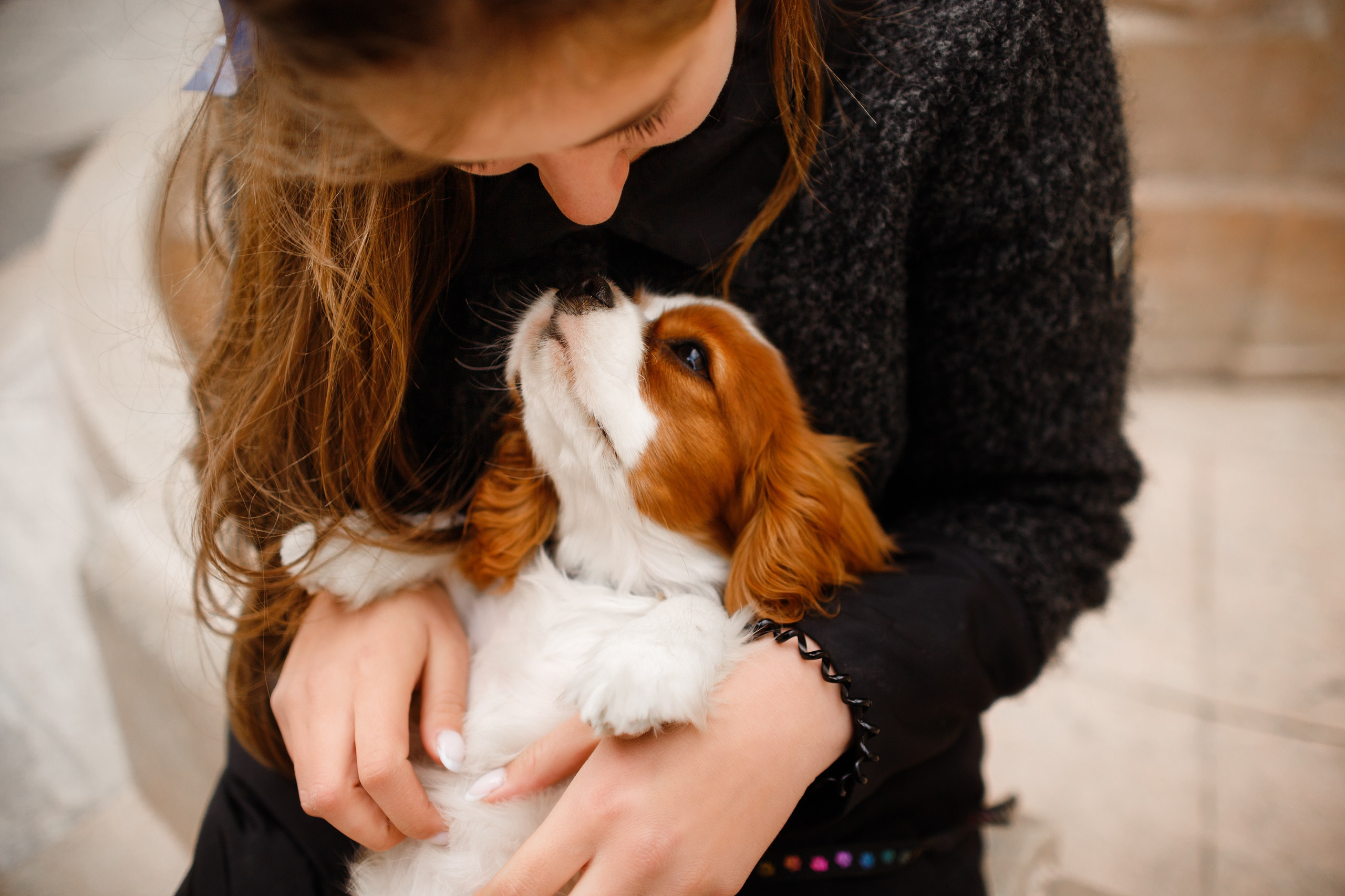 Uliana i Franklin. Kaja | fotograf we Wrocławiu | ludzie i psy