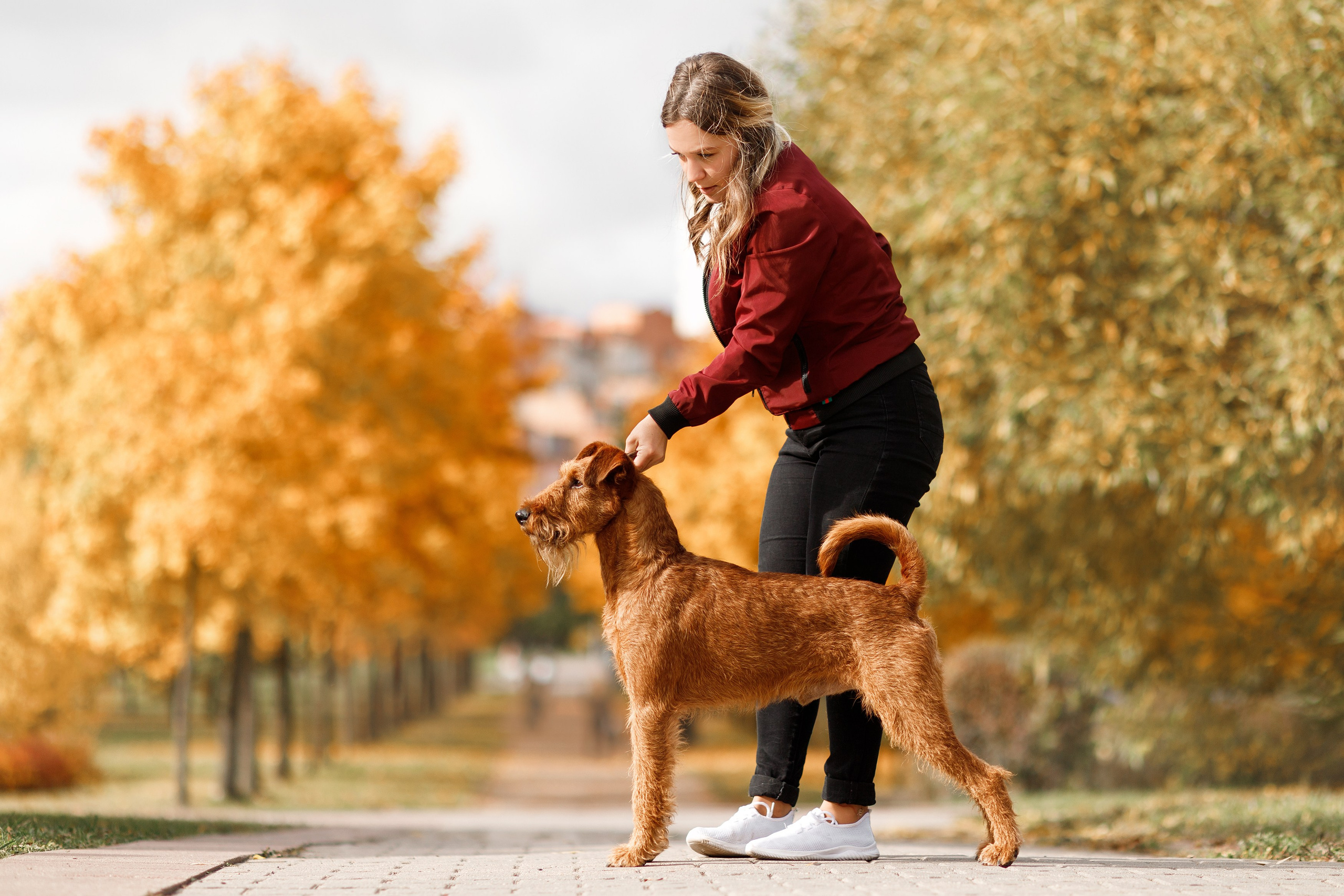 Autumn photo day for dog handler. Kaja | fotograf we Wrocławiu | ludzie i psy