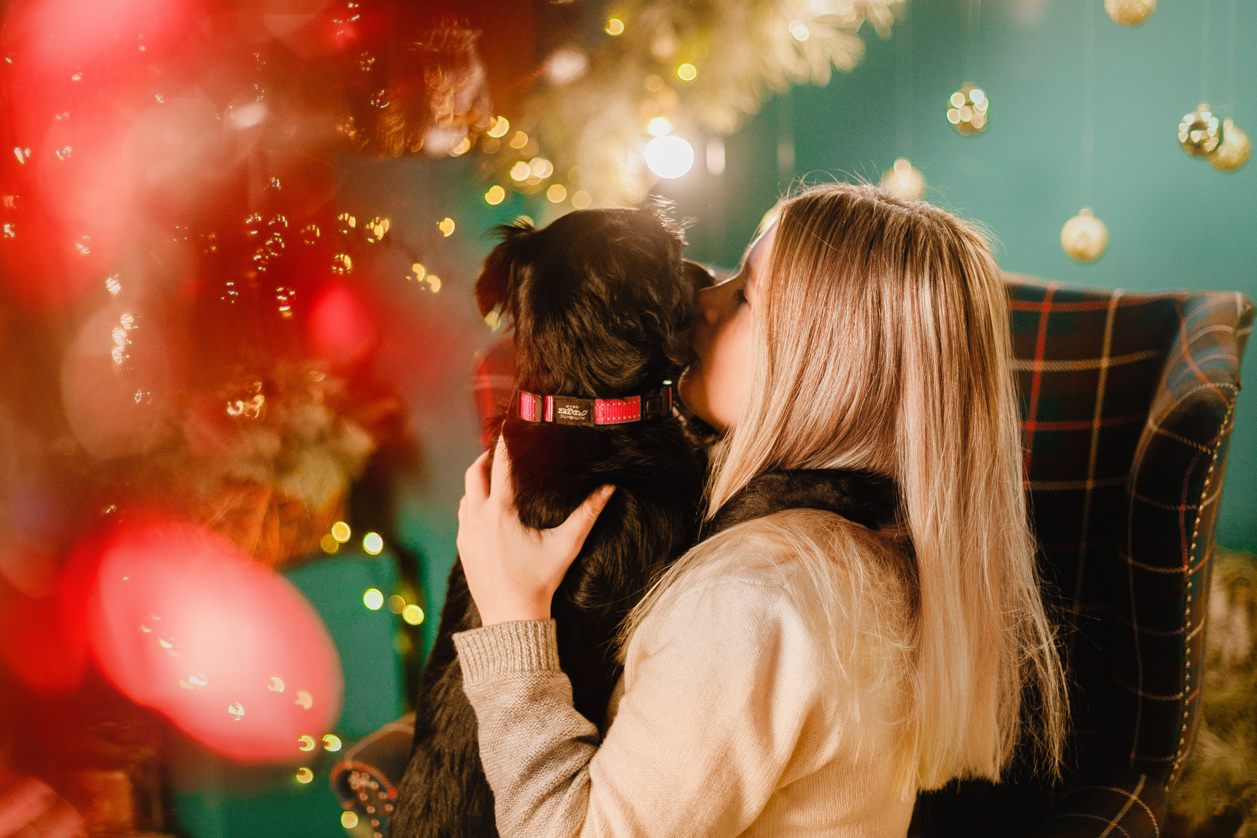 Lana, Edgar and Mucha | new year studio. Kaja | fotograf psów we Wrocławiu