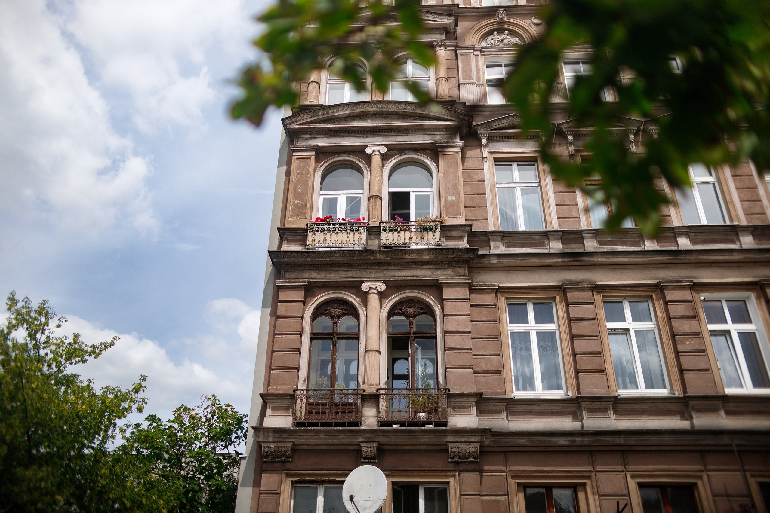 Wroclaw | the best ones. Kaja | fotograf psów we Wrocławiu