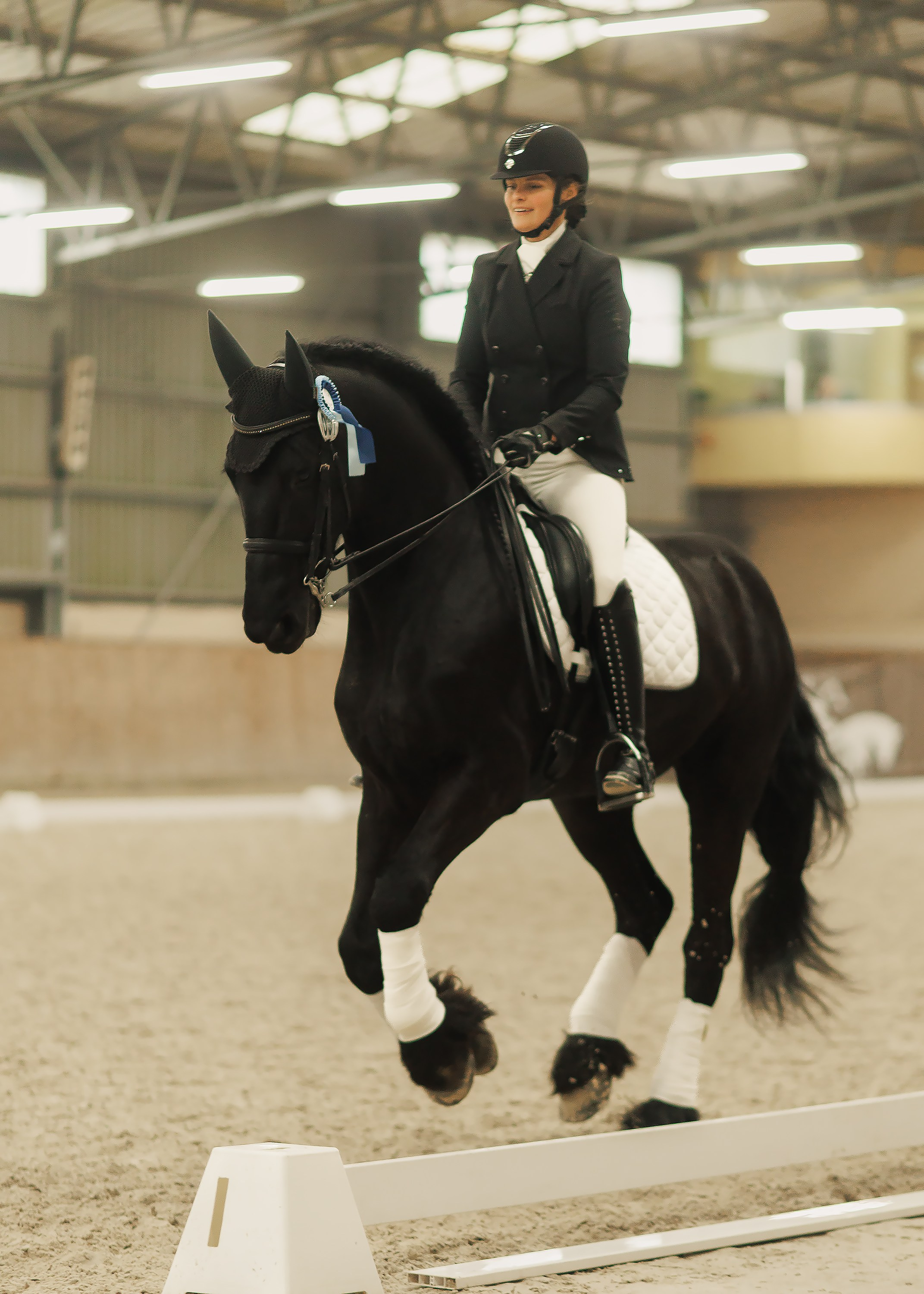 Partynice dressage \ feb'25. Kaja | fotograf we Wrocławiu | ludzie i psy