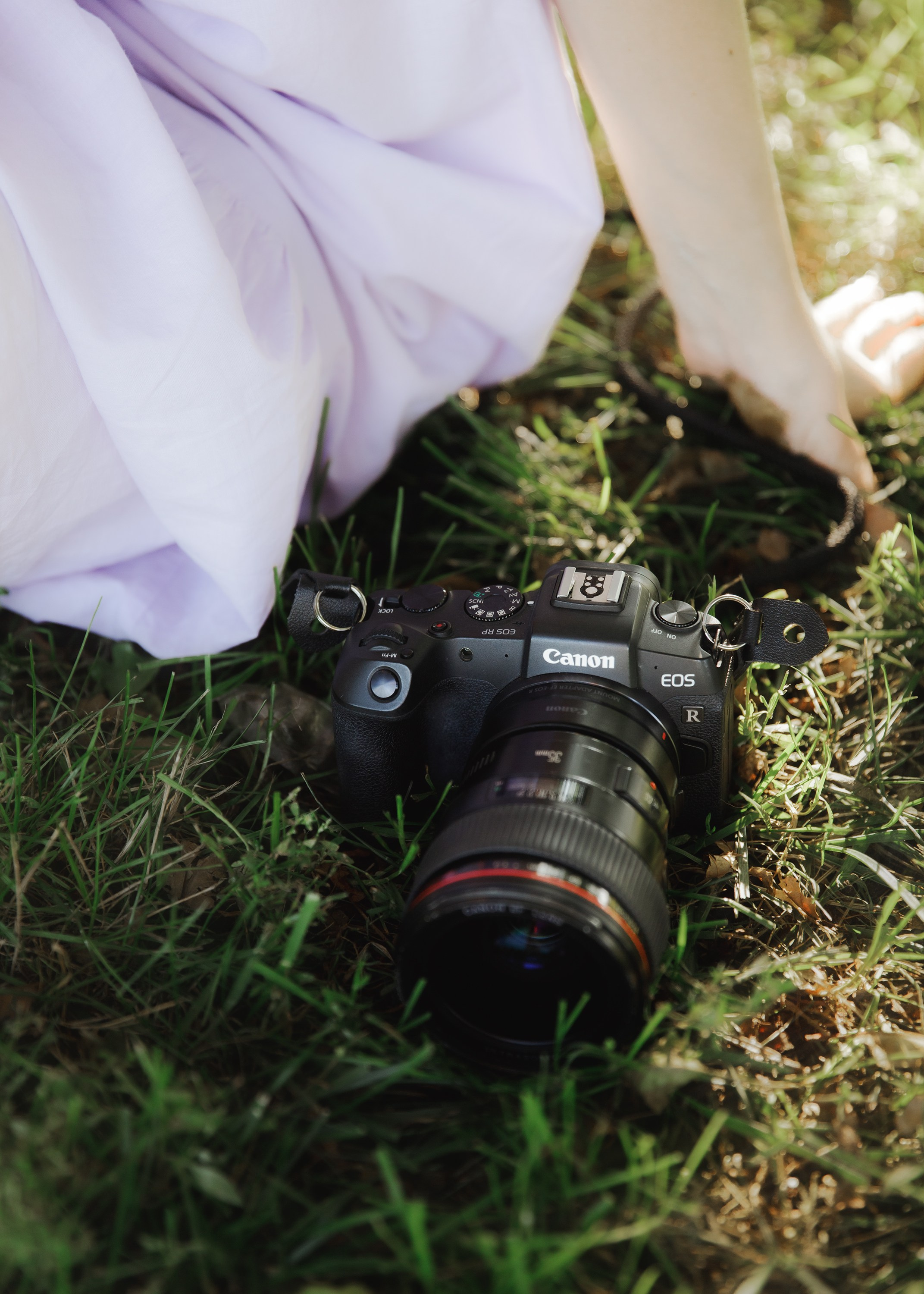 Vita. Kaja | fotograf psów we Wrocławiu