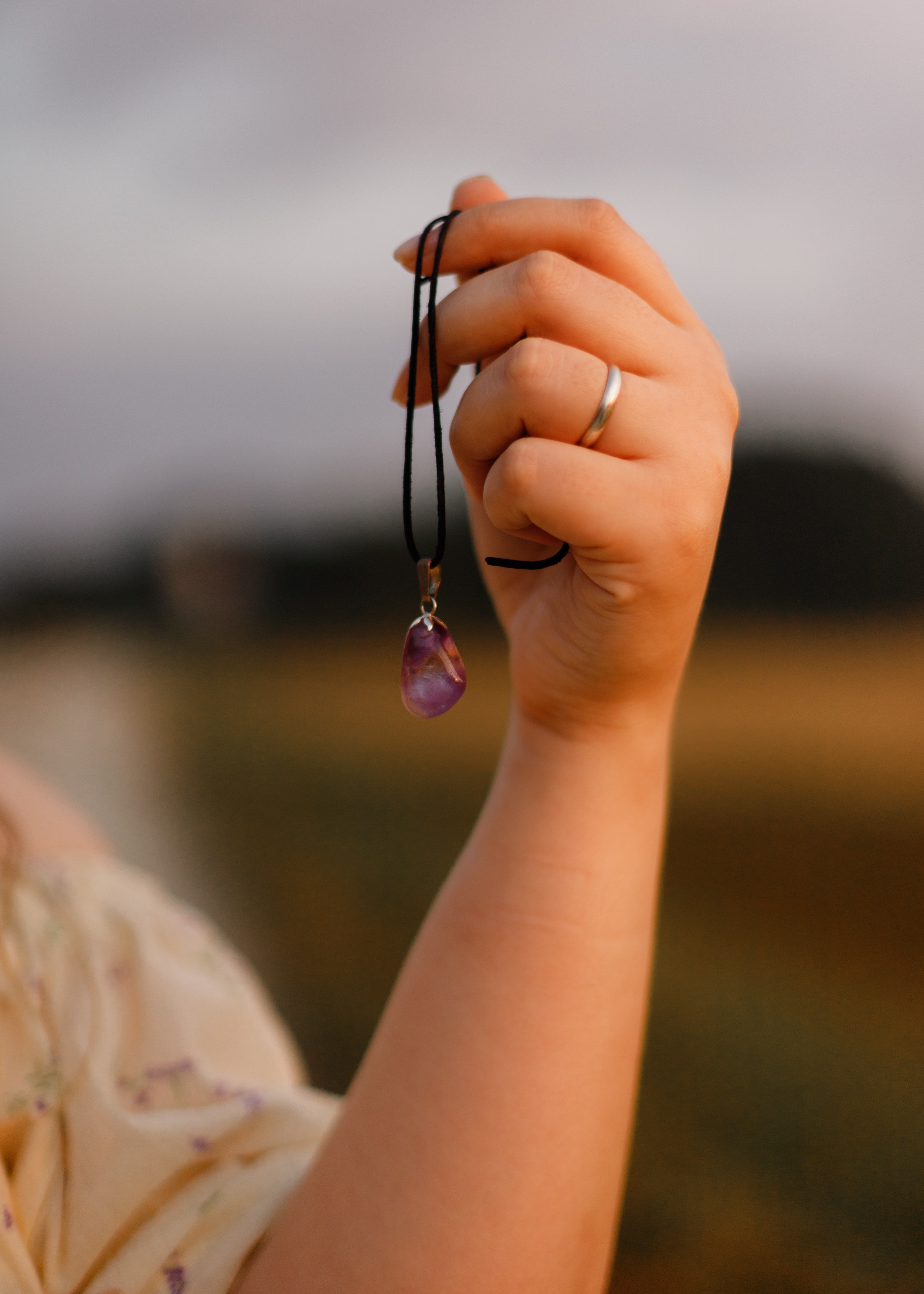 Katya in the field. Kaja | fotograf psów we Wrocławiu
