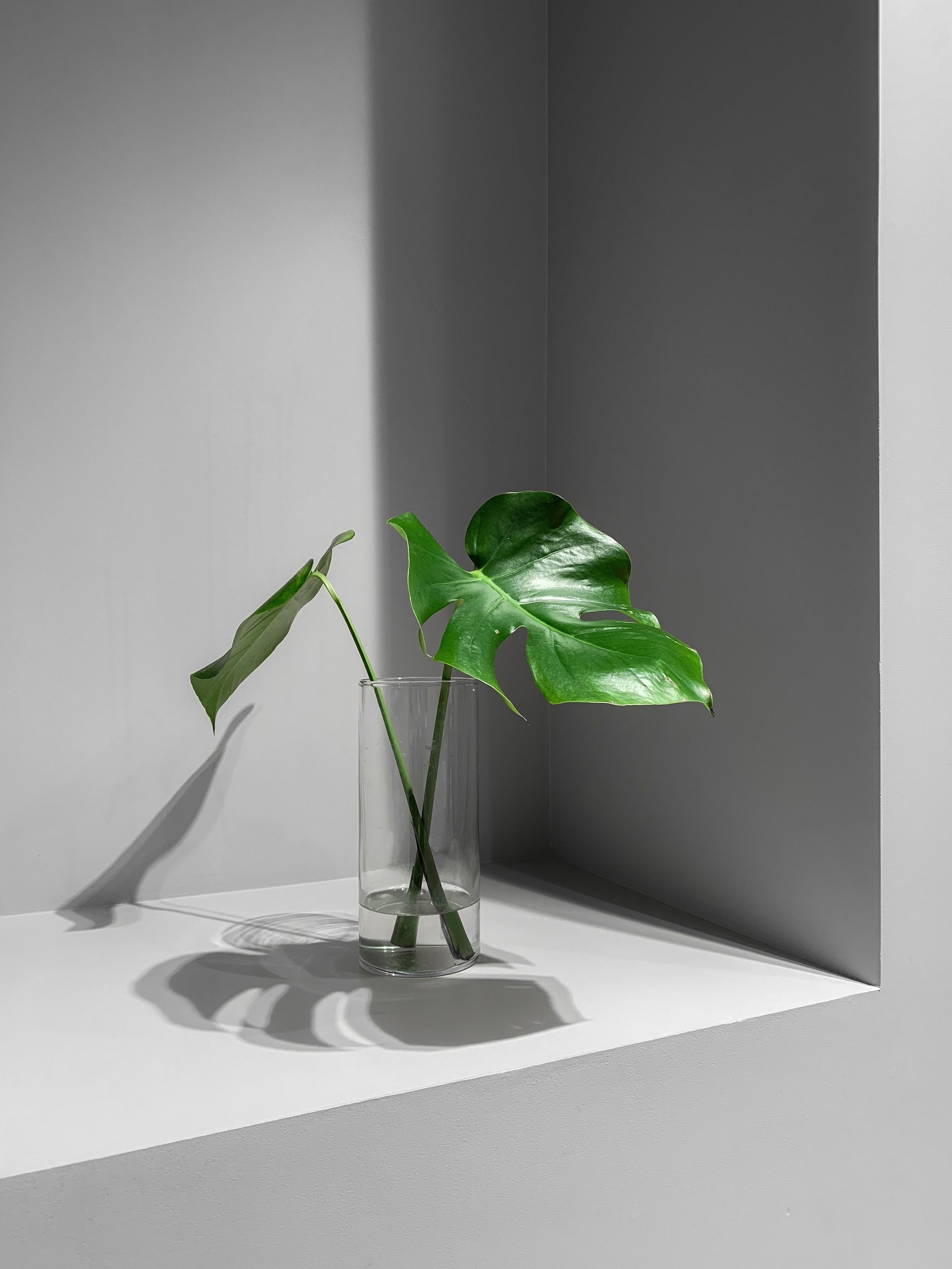 Apartment interiors. Love of Photos