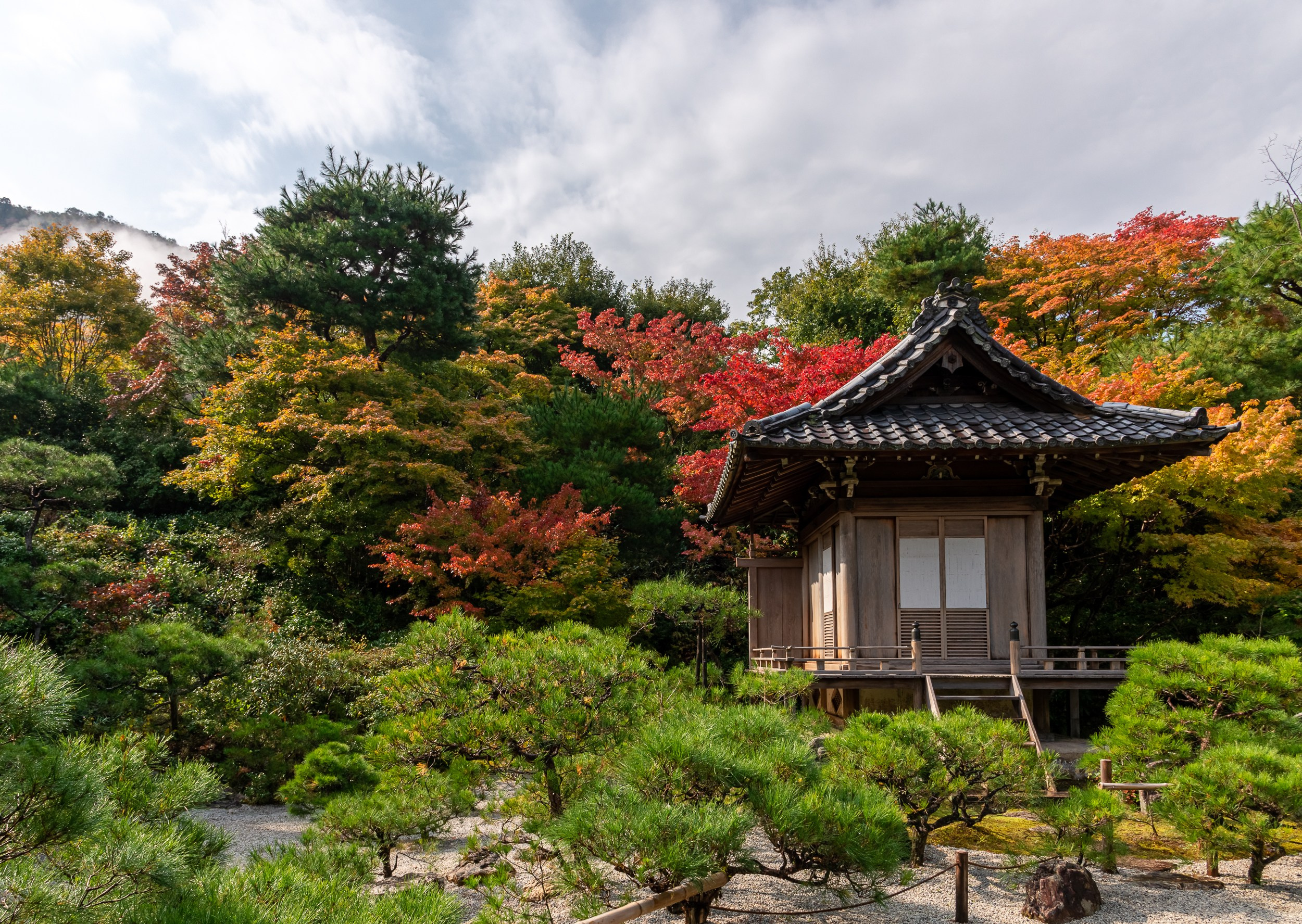 Japan. Marius Ciocan
