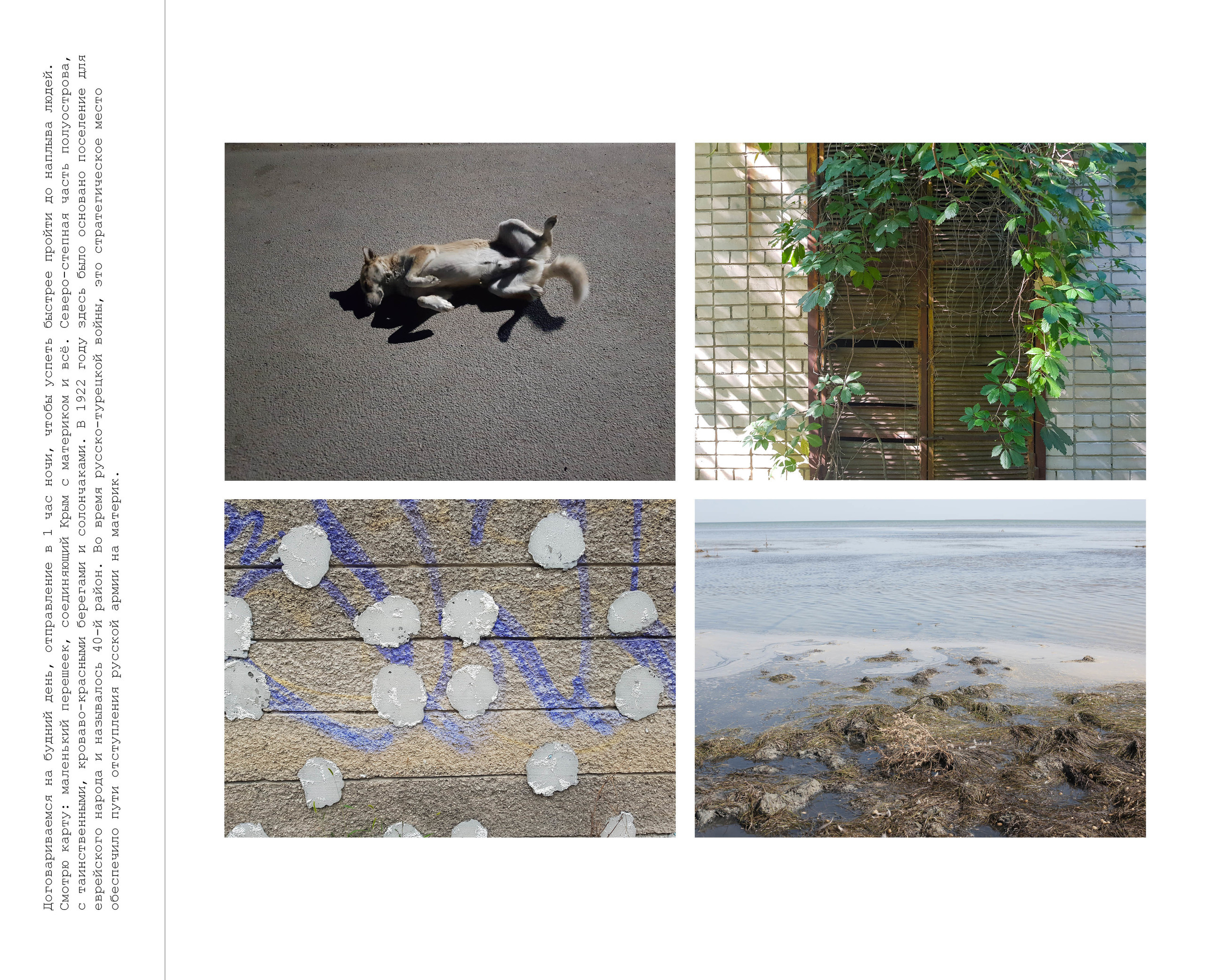 Inland Empire (zine). Междисциплинарный художник, фотограф