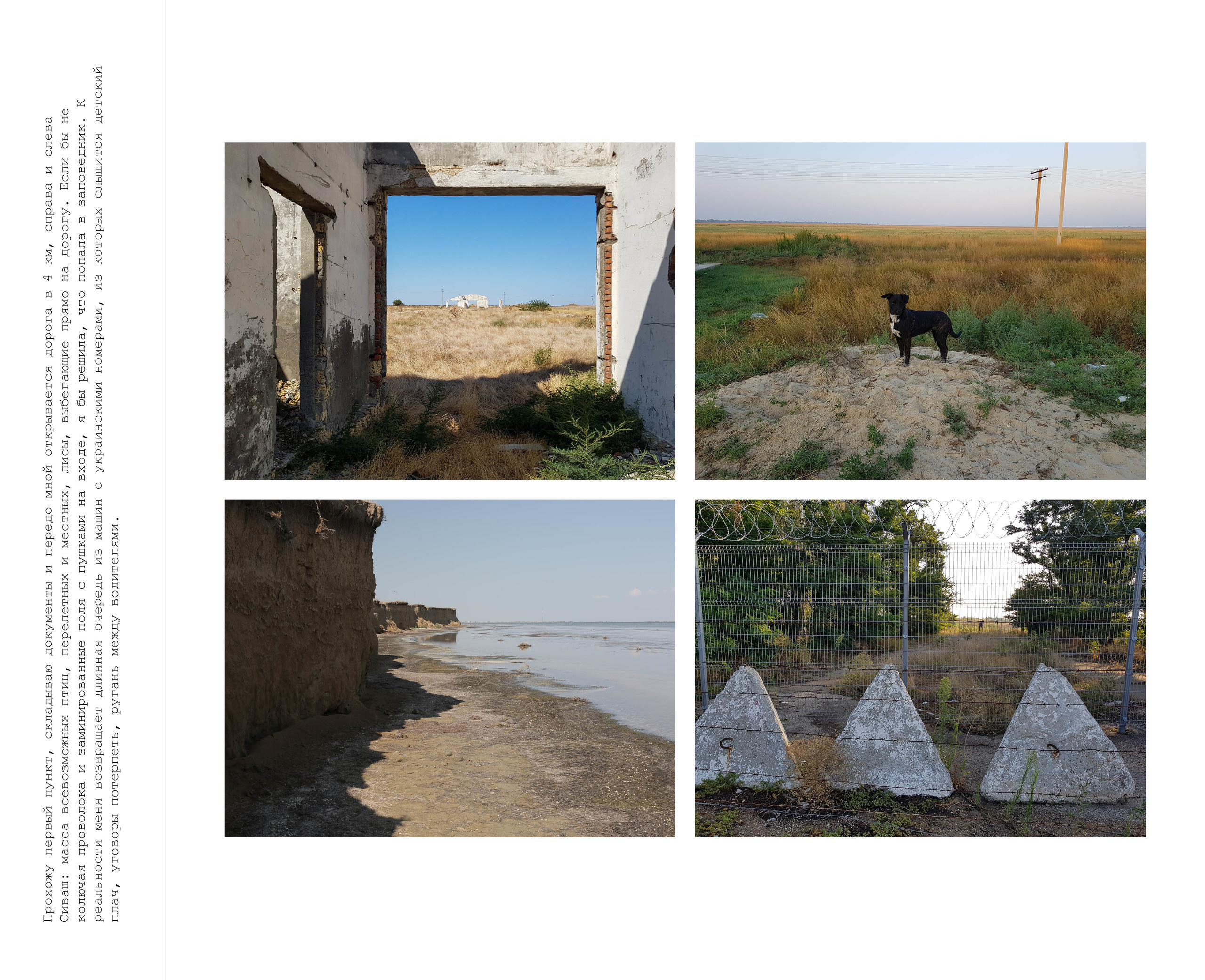 Inland Empire (zine). Междисциплинарный художник, фотограф