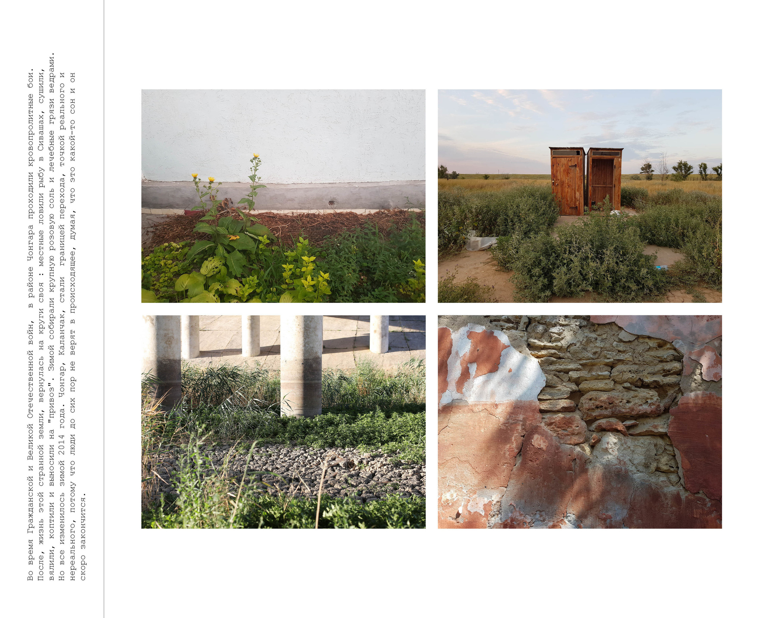 Inland Empire (zine). Междисциплинарный художник, фотограф