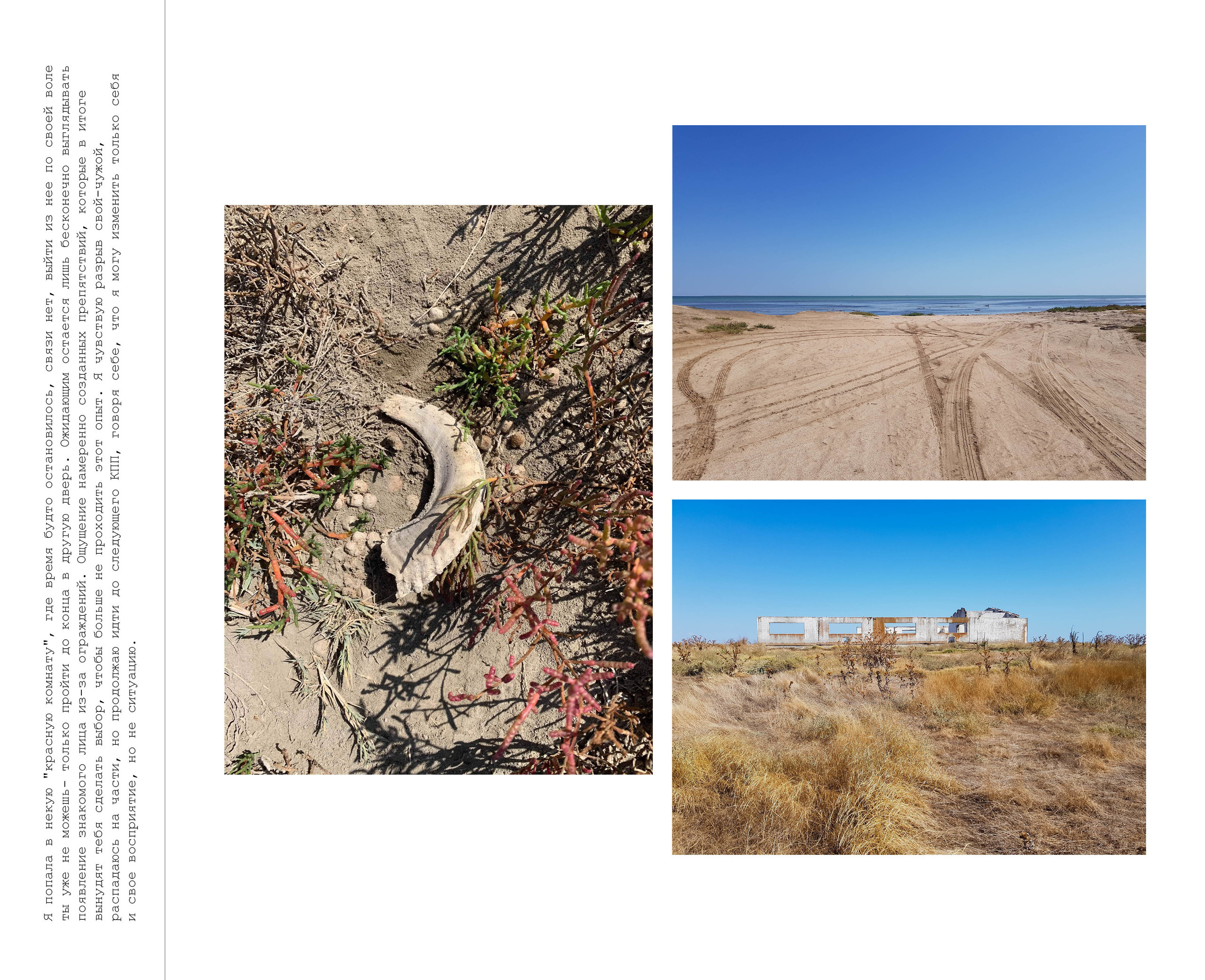 Inland Empire (zine). Междисциплинарный художник, фотограф