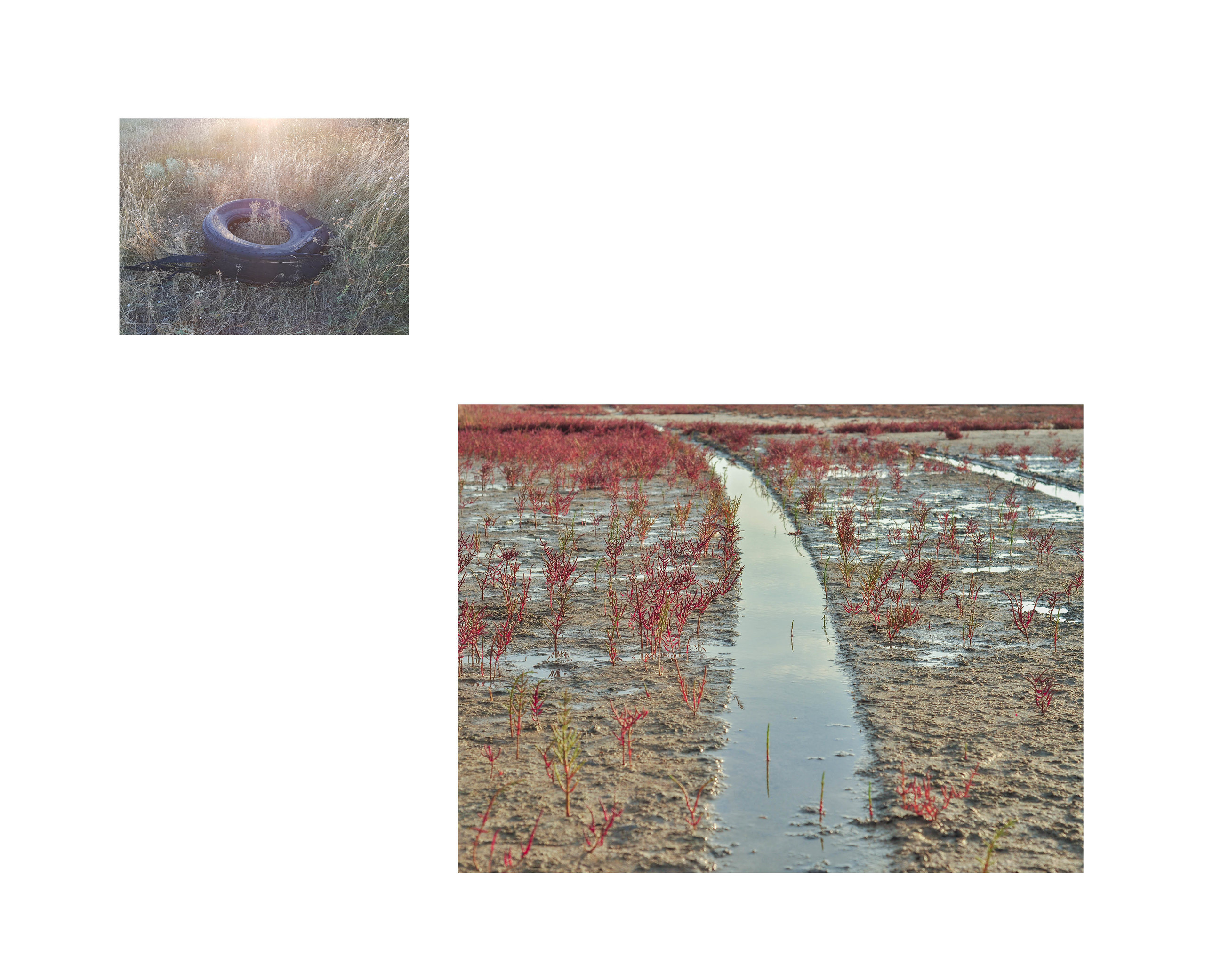 Inland Empire (zine). Междисциплинарный художник, фотограф