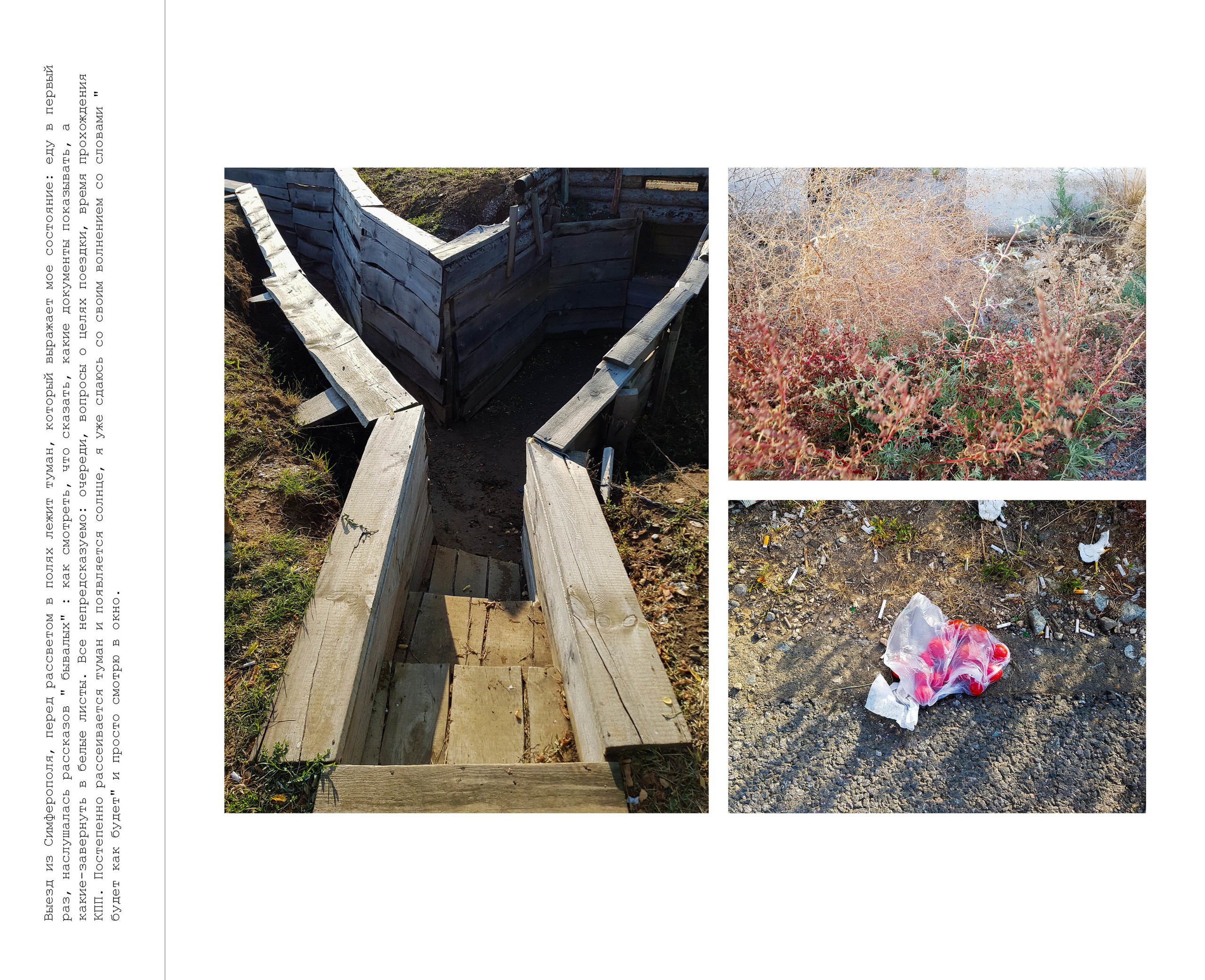 Inland Empire (zine). Междисциплинарный художник, фотограф