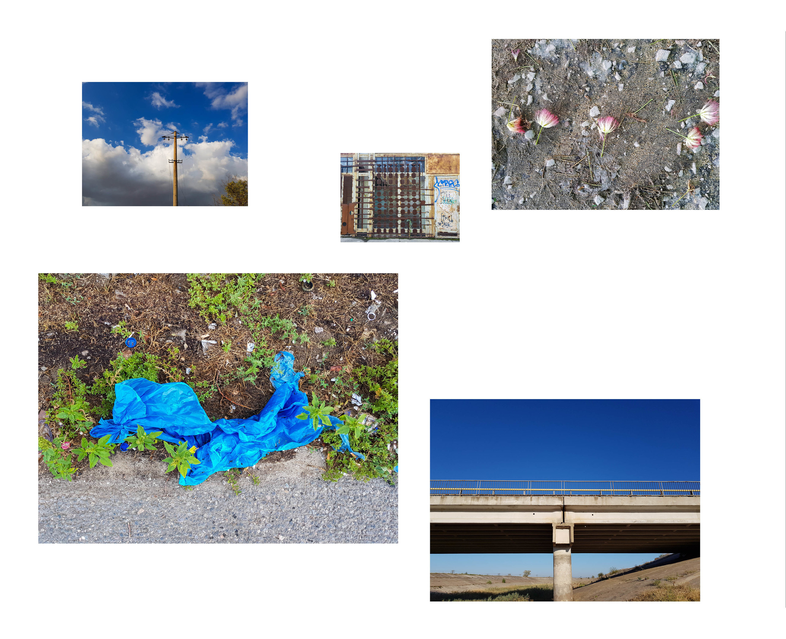 Inland Empire (zine). Междисциплинарный художник, фотограф