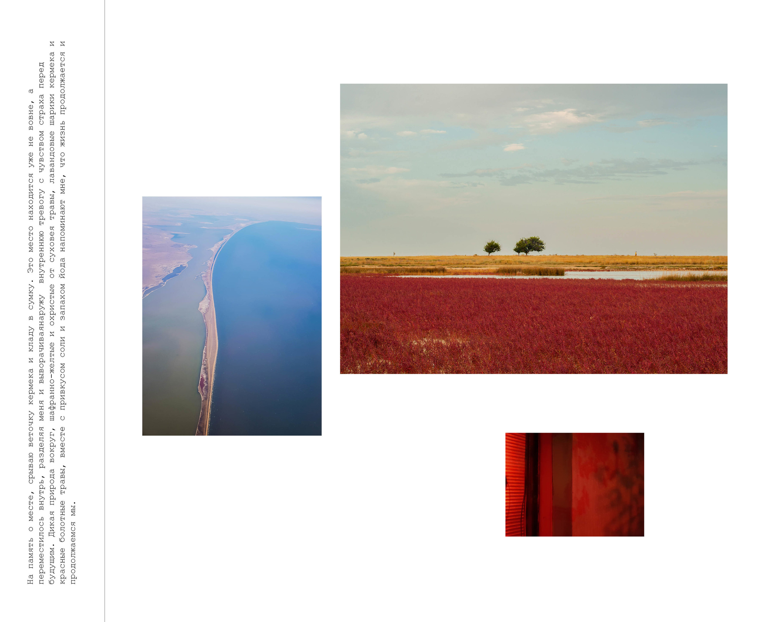 Inland Empire (zine). Междисциплинарный художник, фотограф