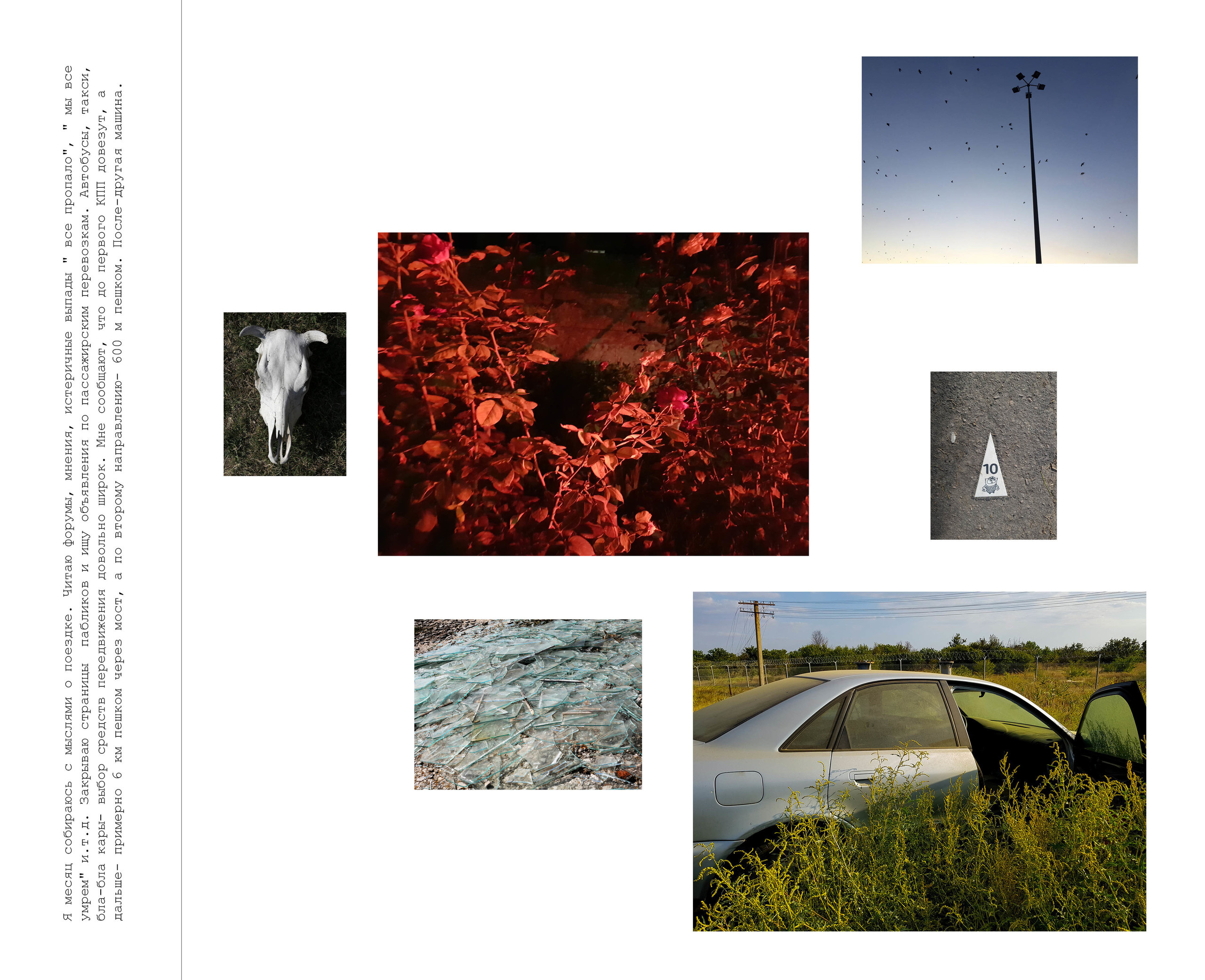 Inland Empire (zine). Междисциплинарный художник, фотограф