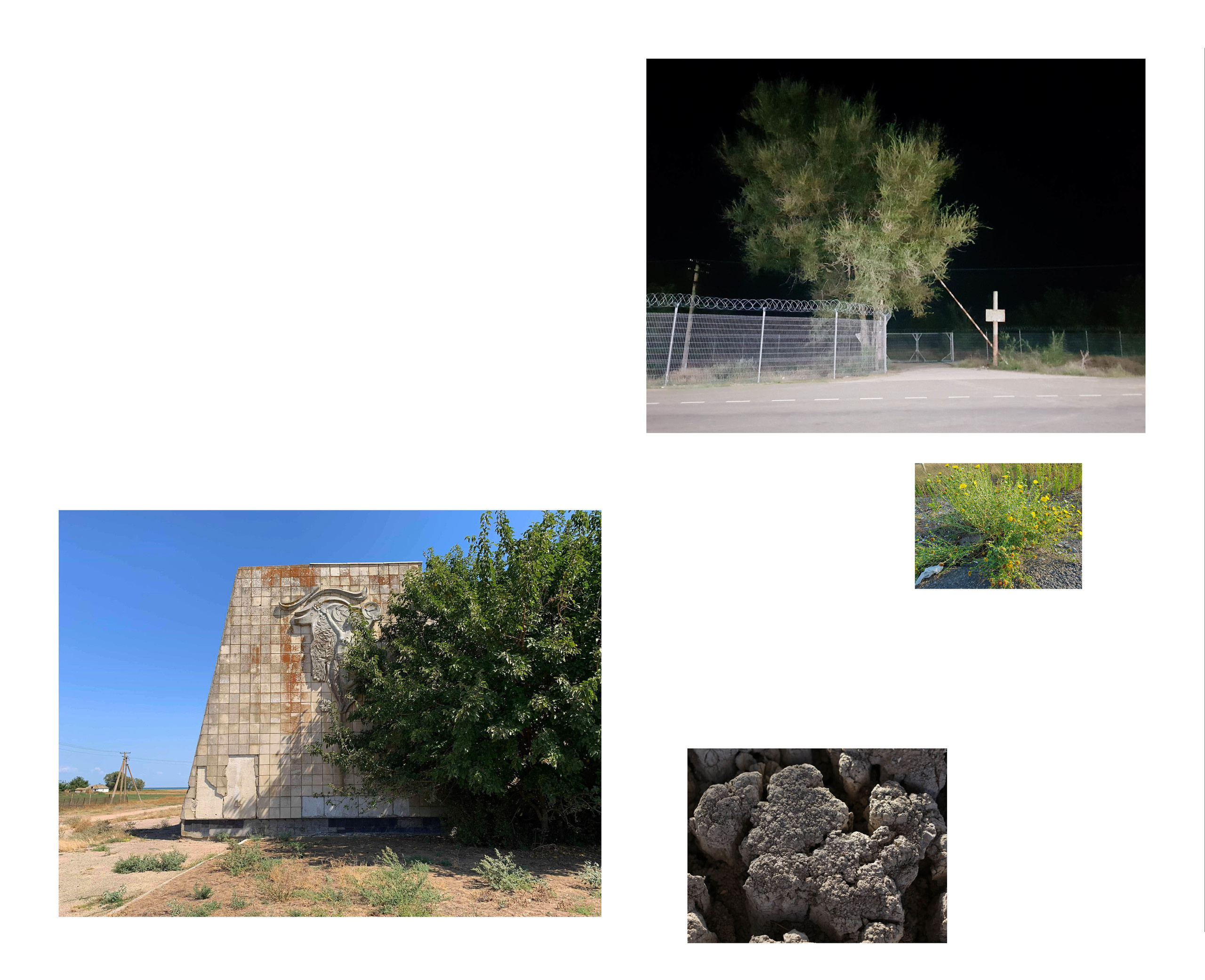 Inland Empire (zine). Междисциплинарный художник, фотограф