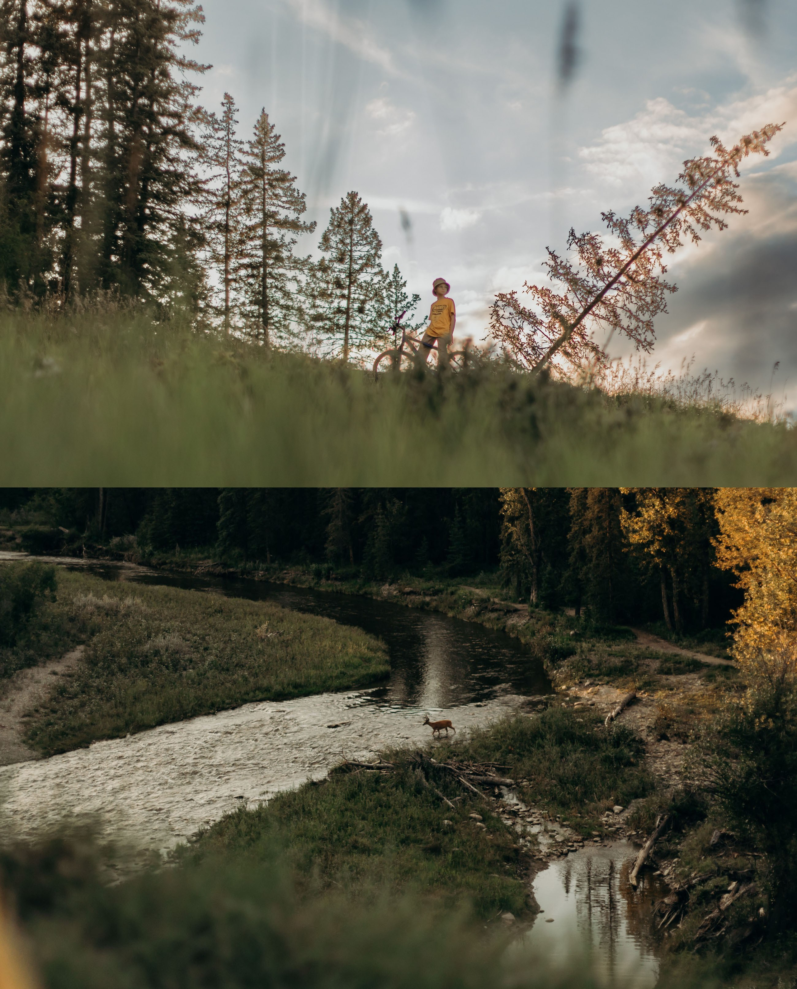 PHOTOGRAPHER JENNY IN CALGARY. I am a portrait and family photographer Jenny in Calgary