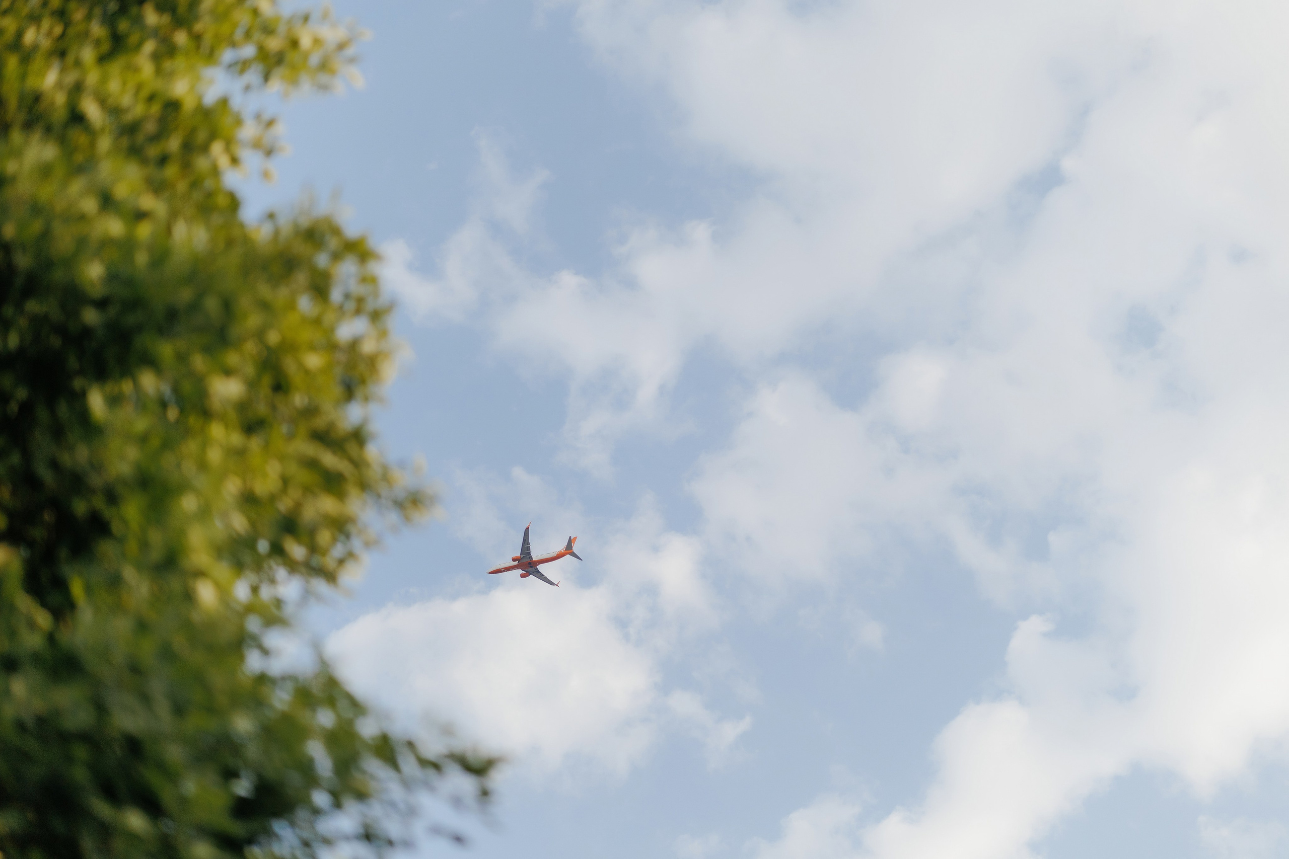 Vadim & Irina. ProWed — Foto Video Moldova și România