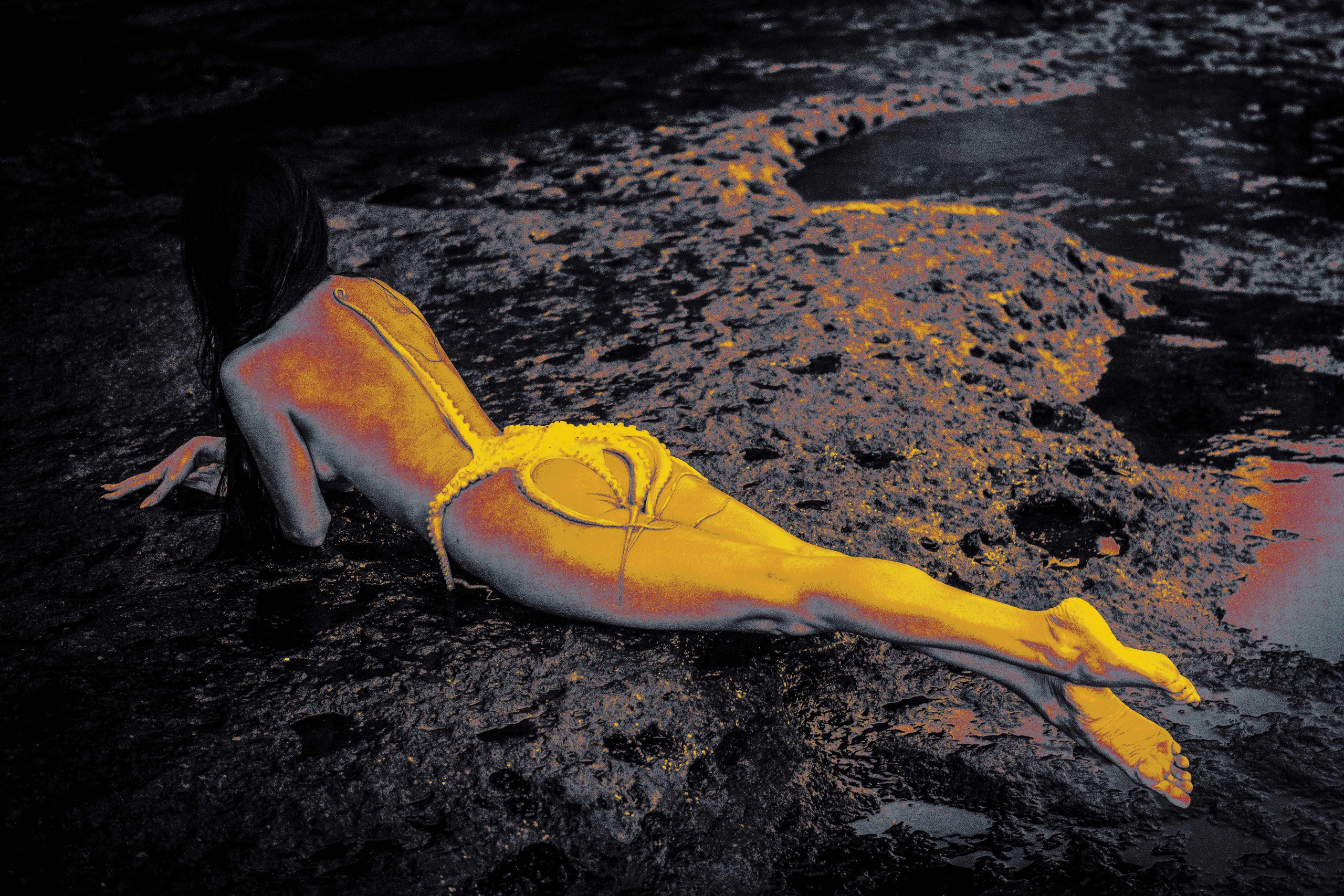 FAIRYLAND. Visual Artist