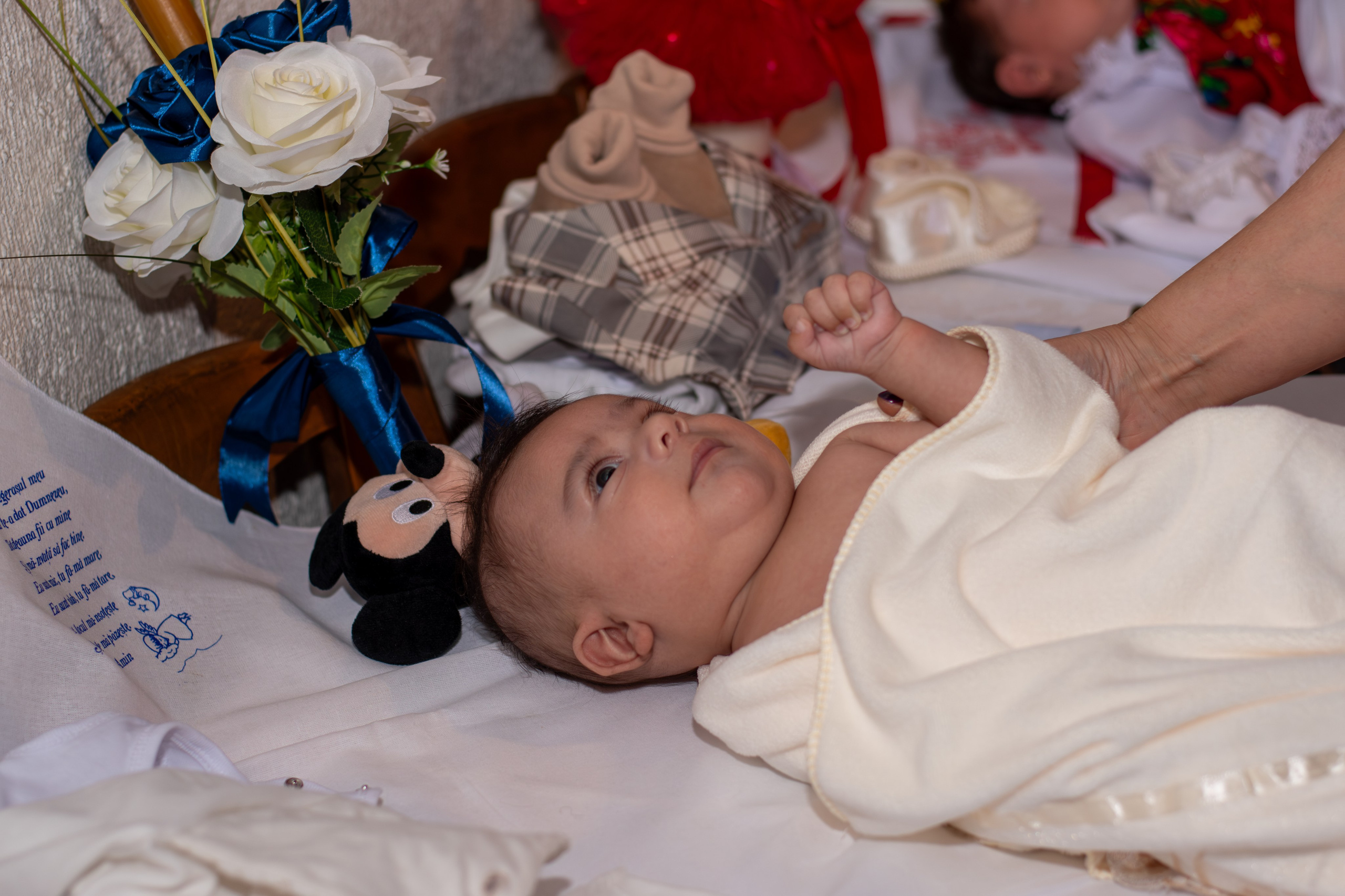 Elian. Fotograful și Cameramanul familiei dvs în Franța Paul Photographer