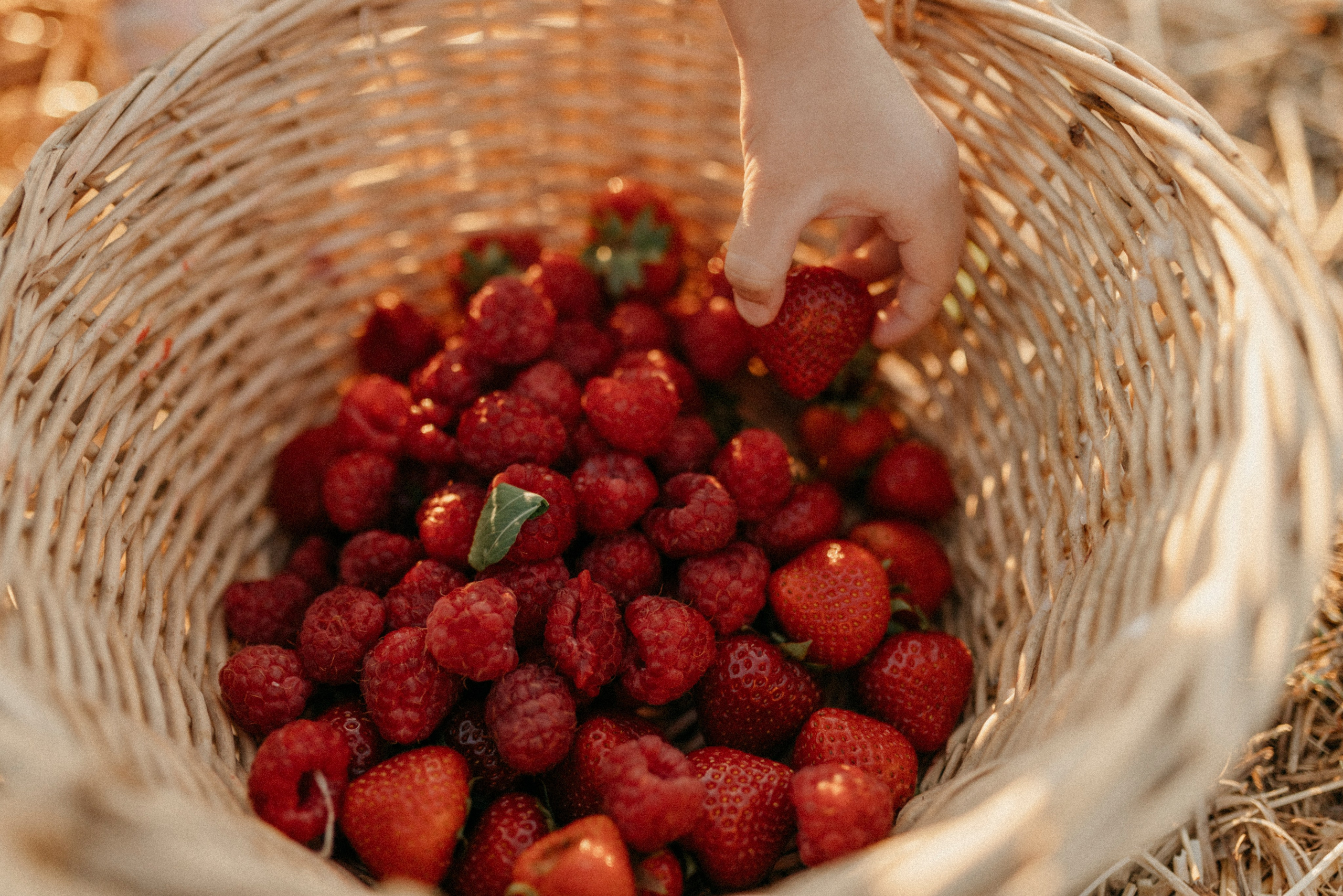Zhenya and Maya. Polina Sobol — family & documentary photographer in Bern. Outdoor & urban photo sessions for families, kids and couples