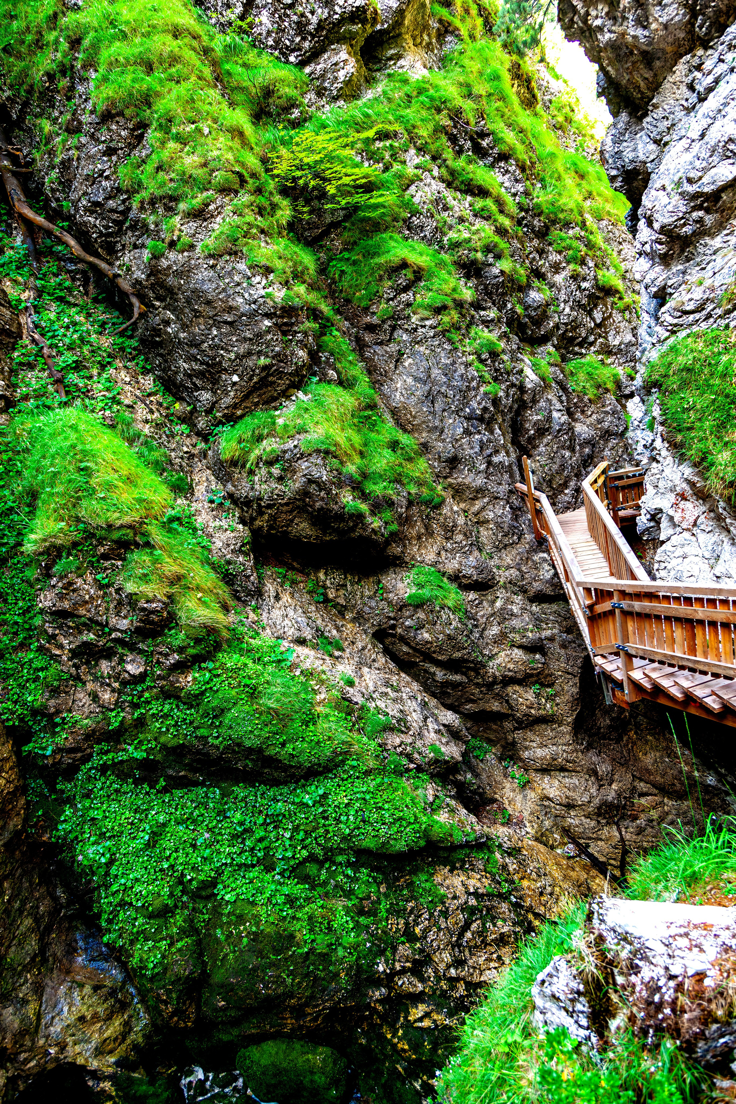 193.Wasserloch Klamm.Palfau.18.8.2025. Путешествия в формате 360......
