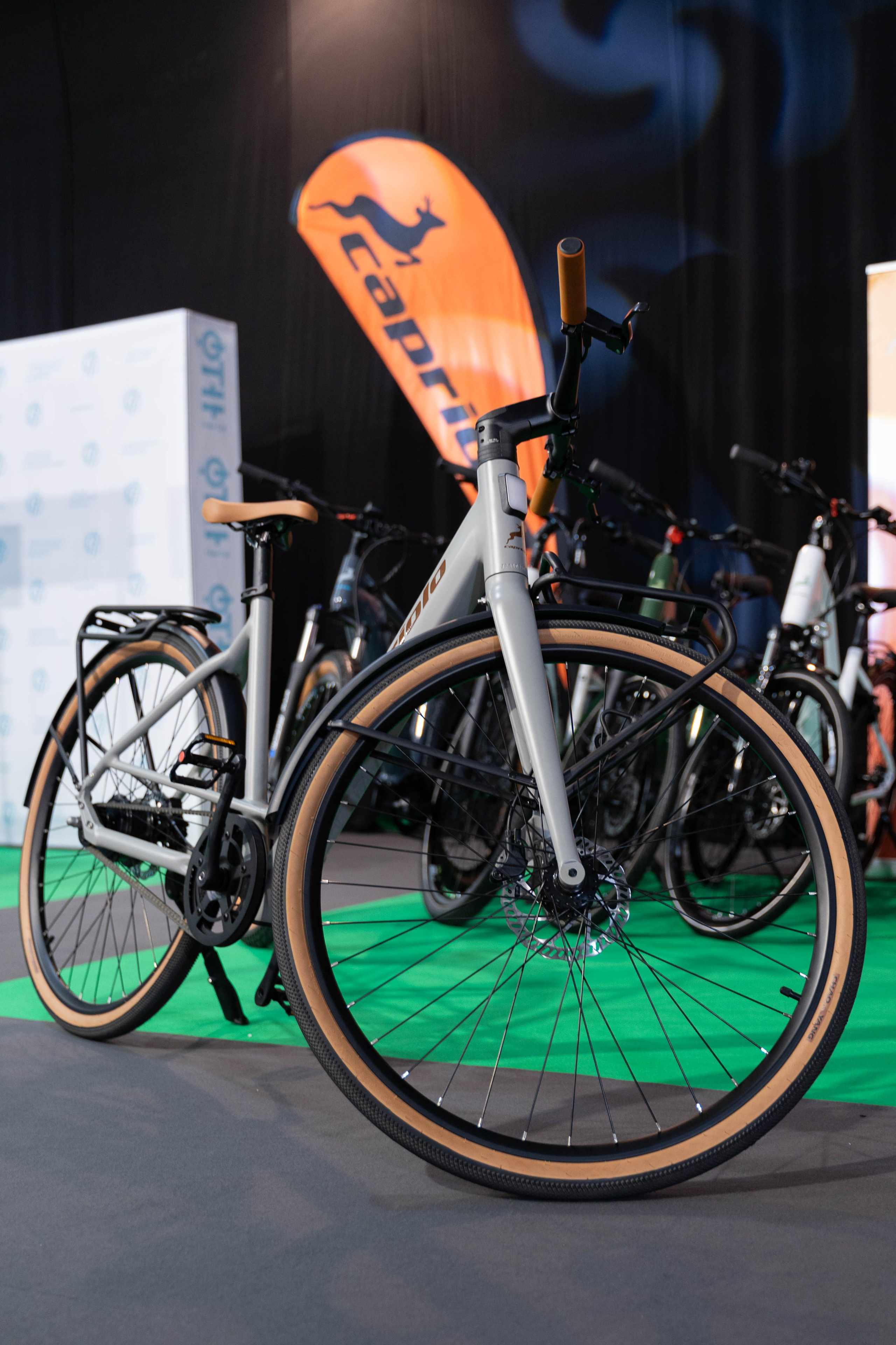 Electric Vehicles Days in Novi Sad 2024. Жуков Студио