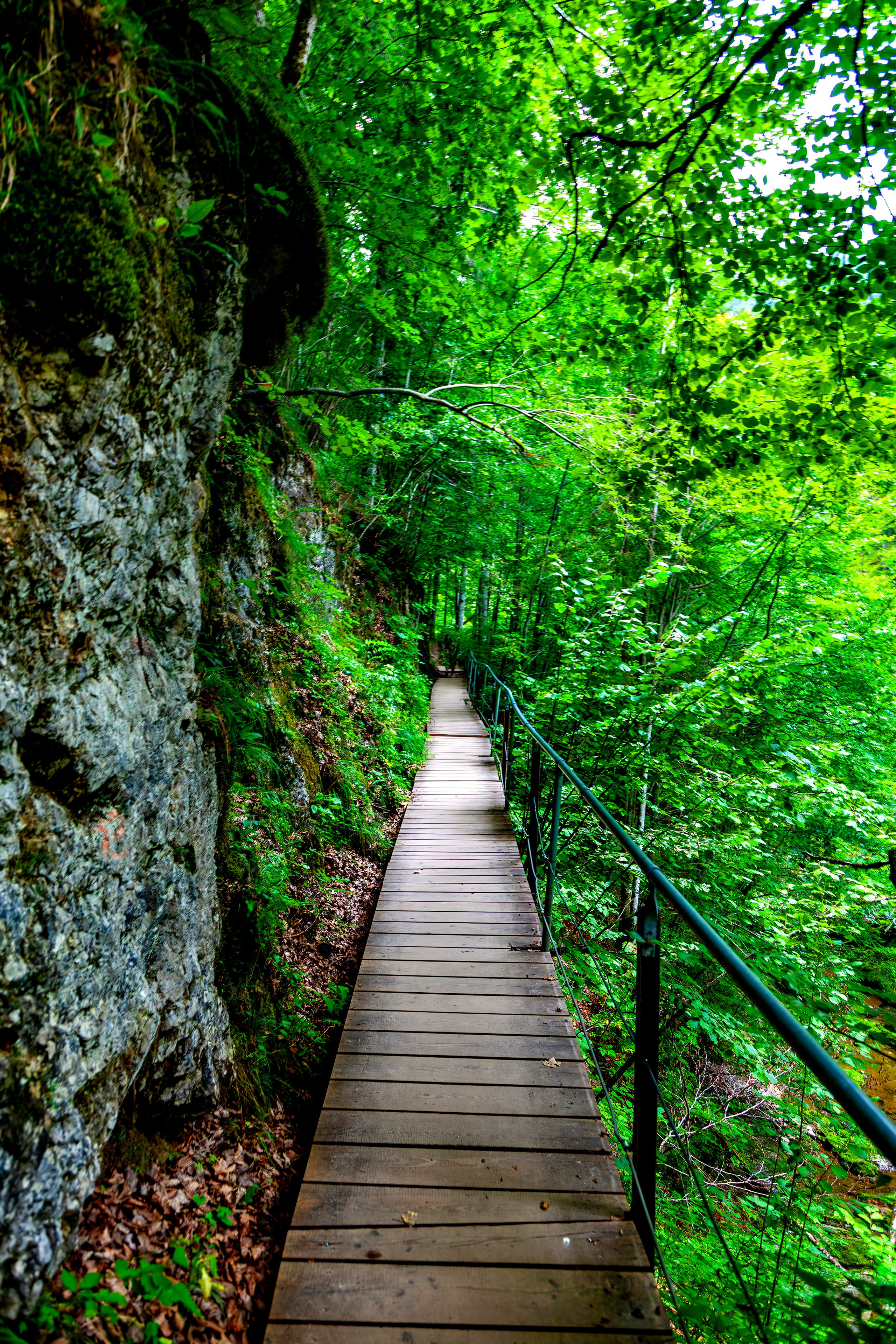 197.Ötscher Base Nature Park.Austria.21.8.2025. Путешествия в формате 360......