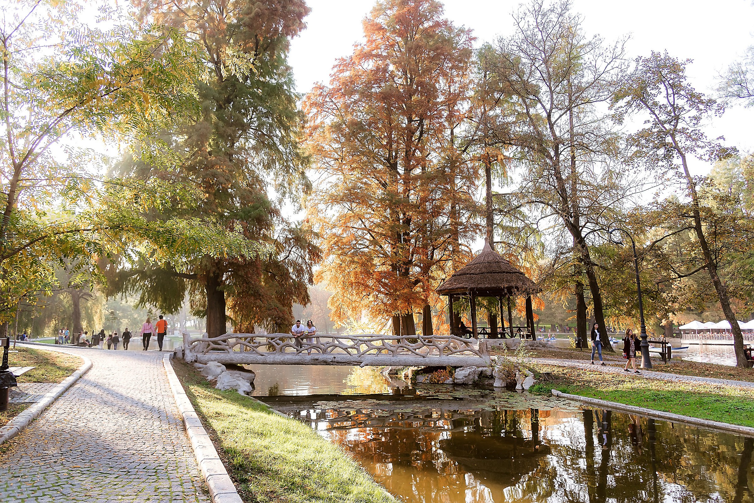 Fotograf Nunta Save The Date Craiova Pitesti 2024