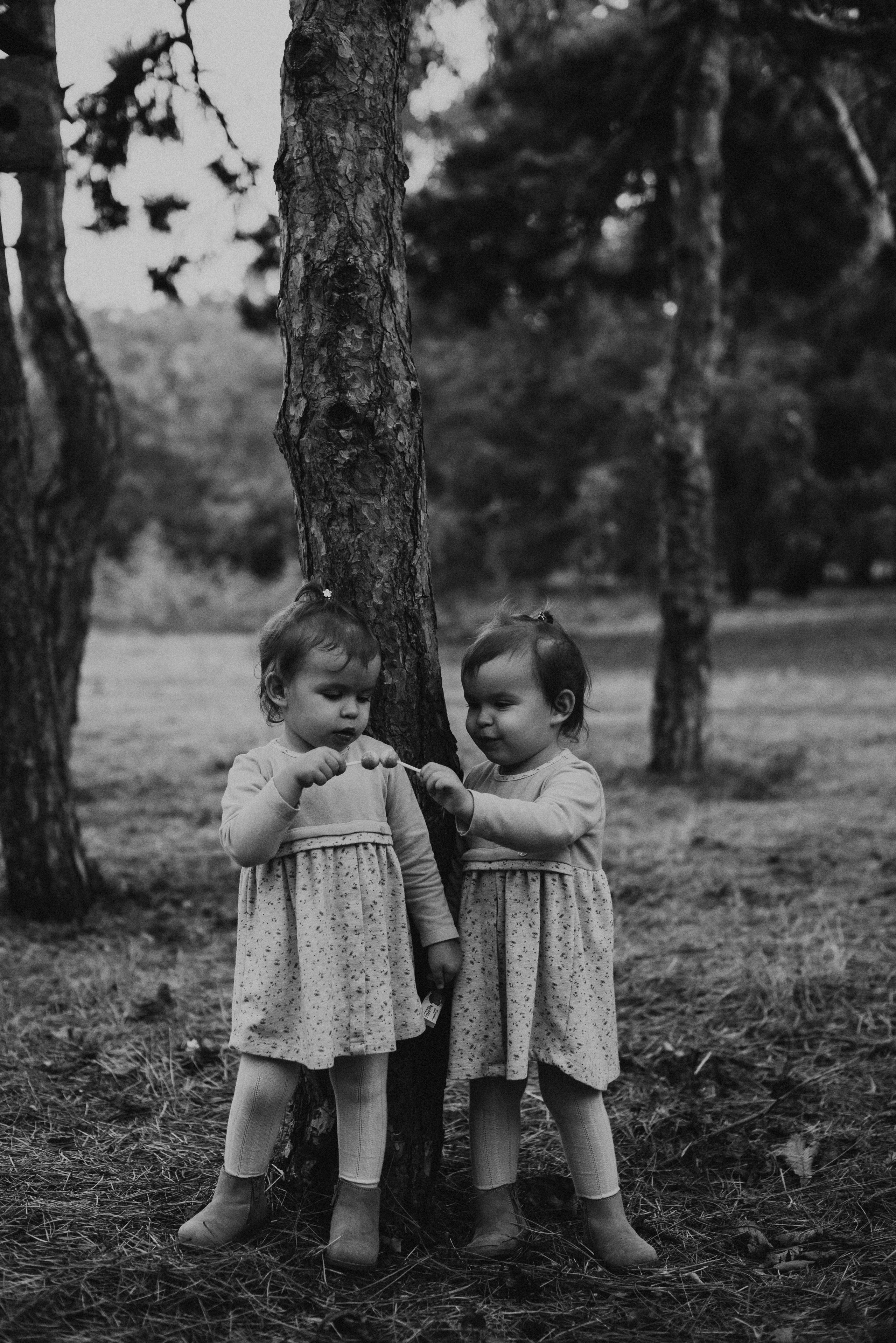 *. Wedding and family photographer San Diego