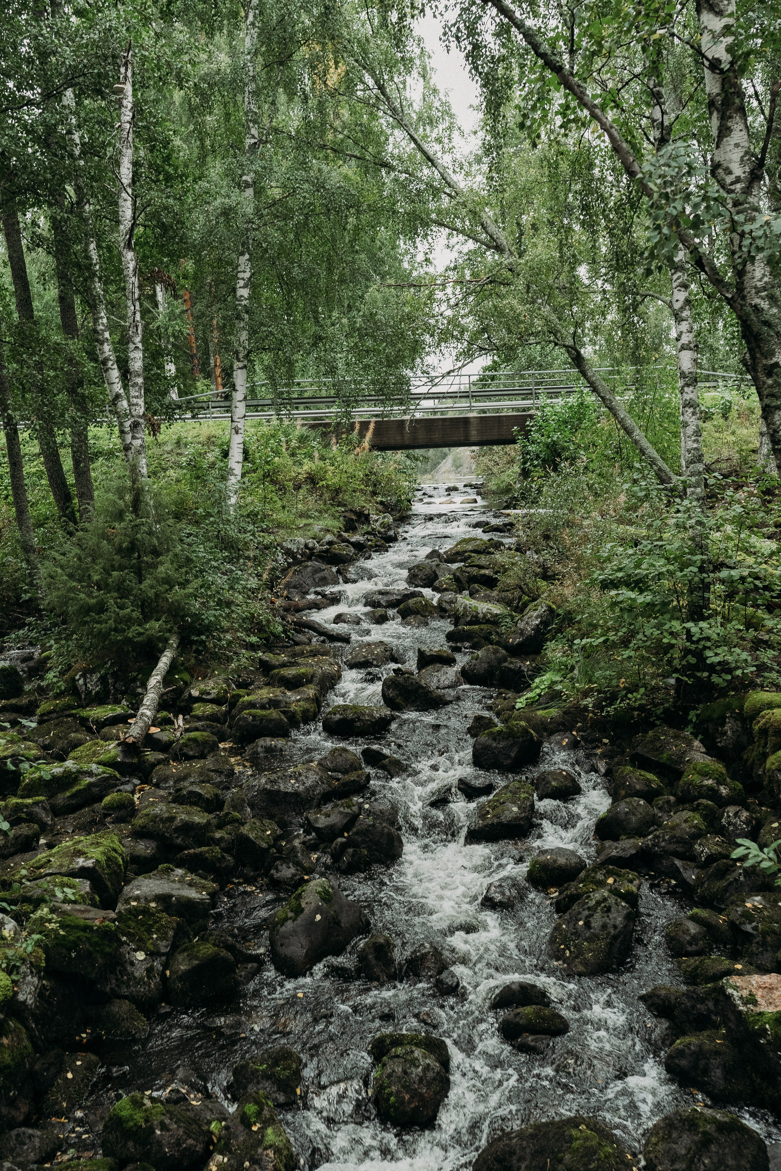 A&O. Wedding and potrait photographer in Helsinki Vickan O