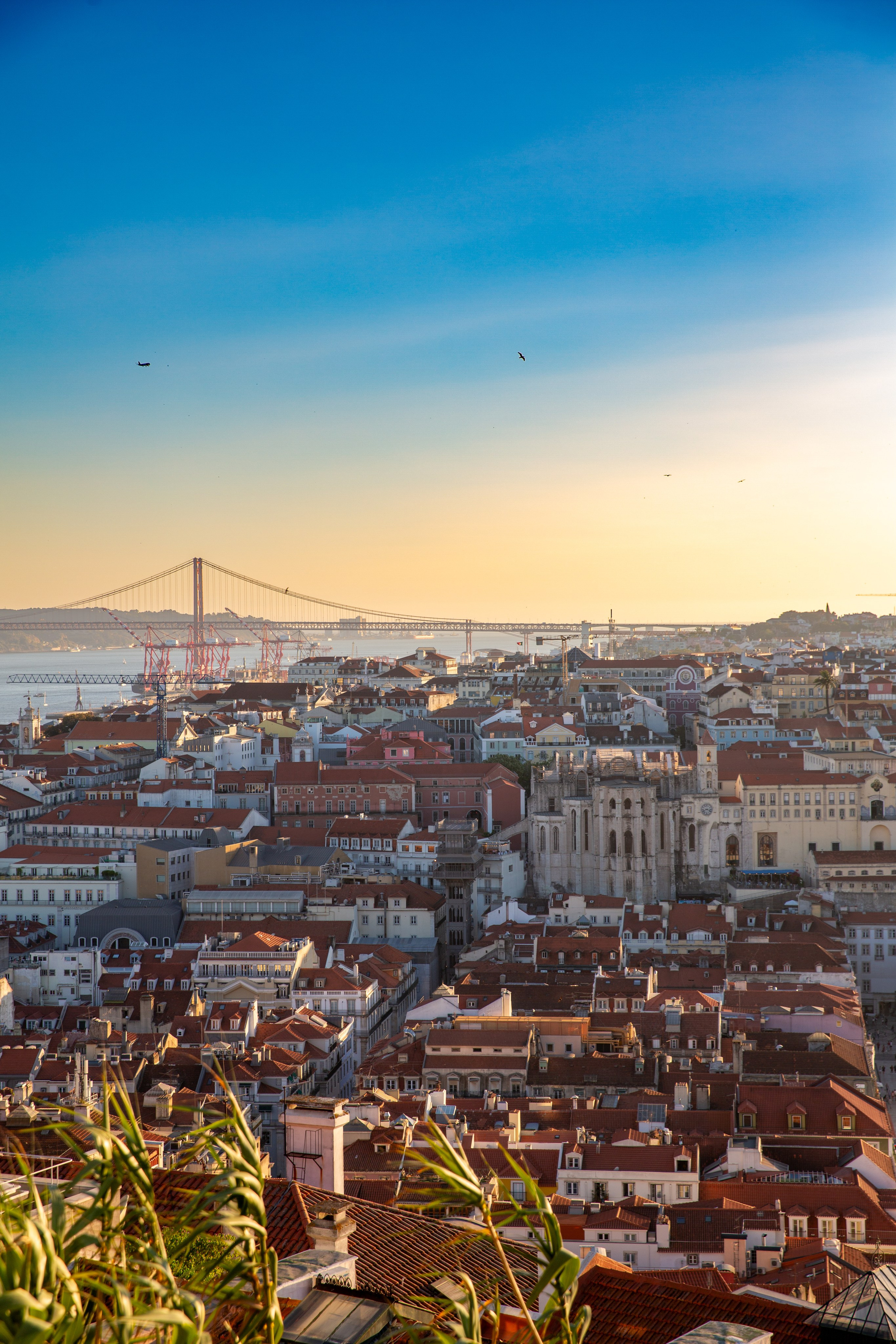 Paisagens. Thiago Chinellato