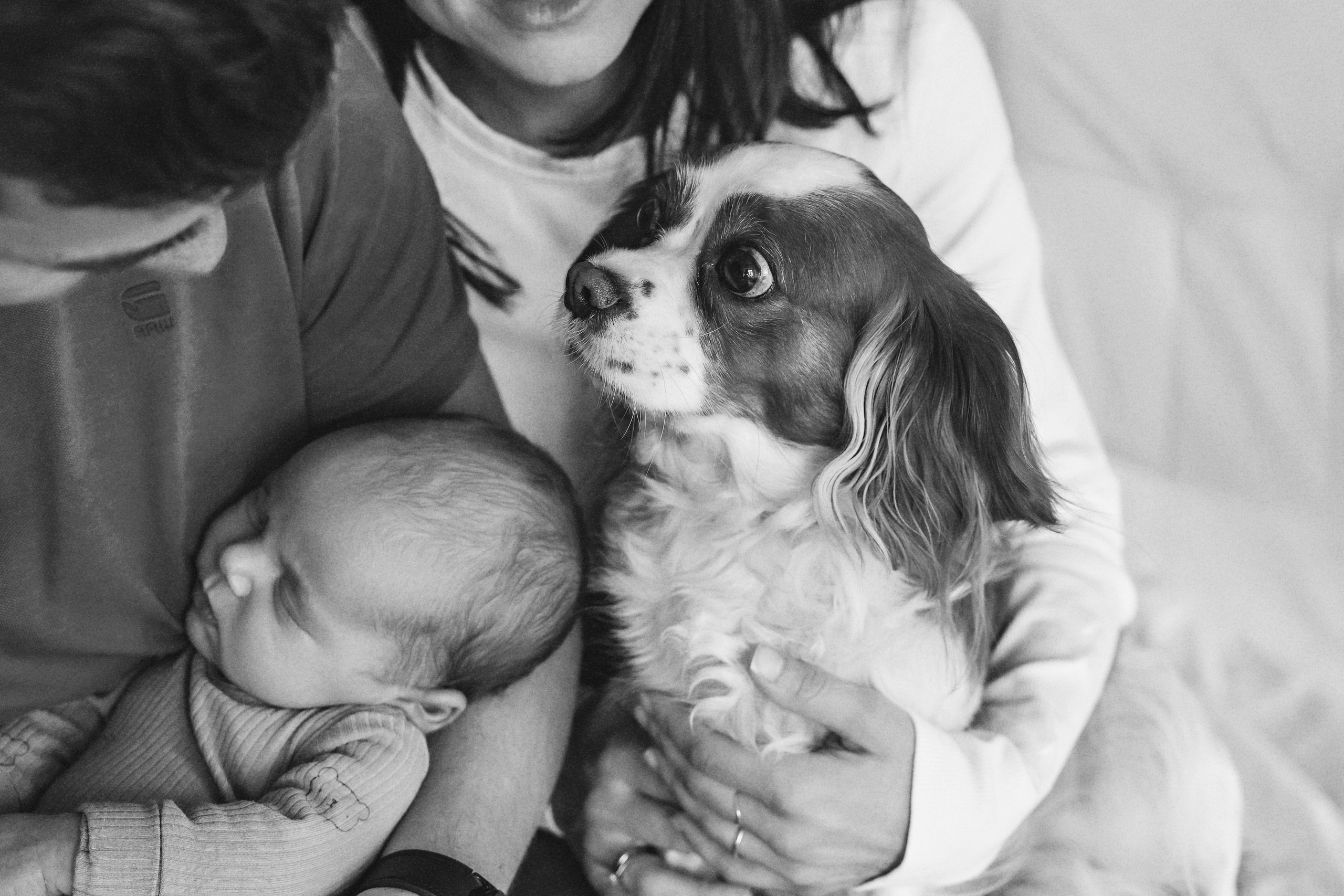 Фотосесия за новородено. Фотограф Ирина Йотова